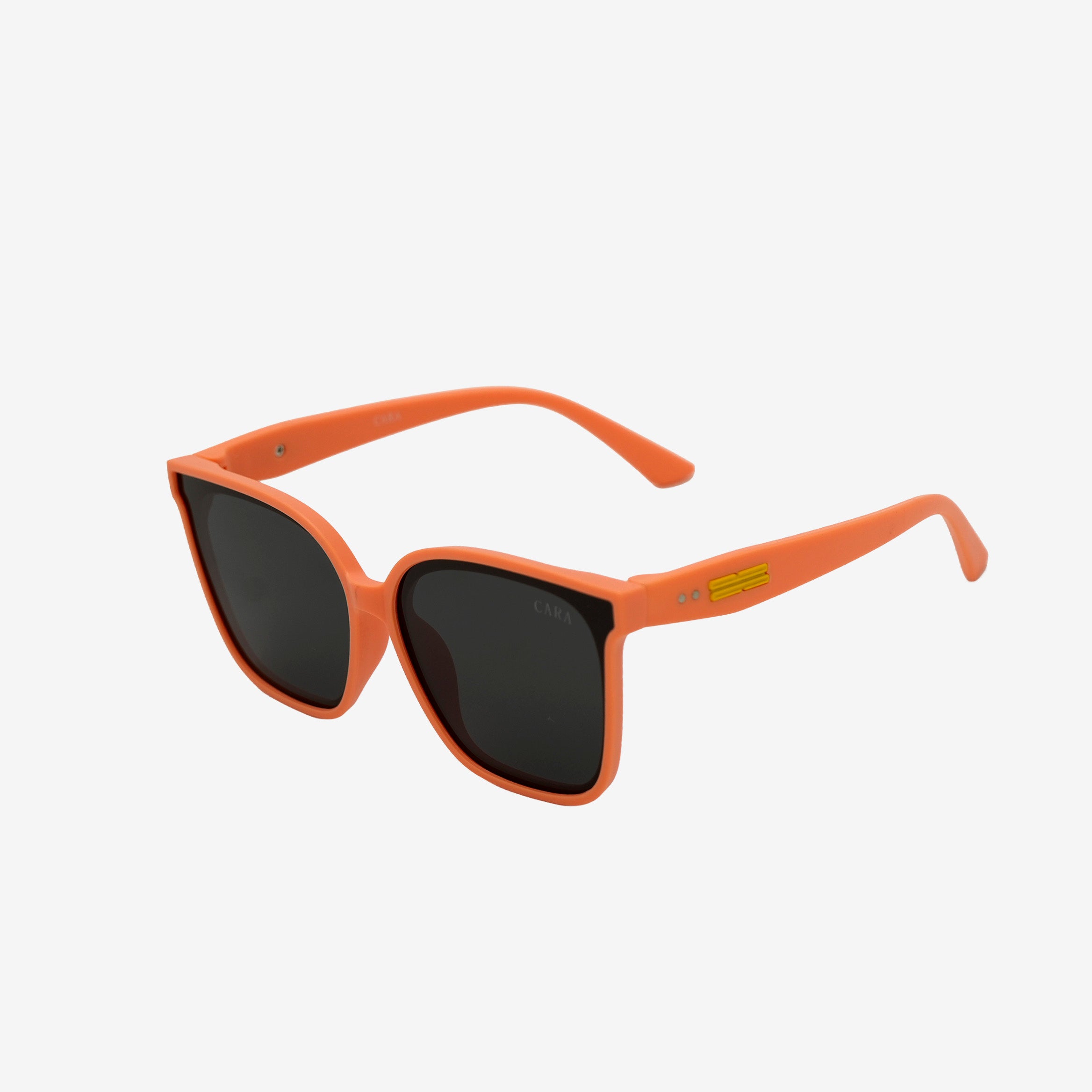 Bold Horizon Sunglass