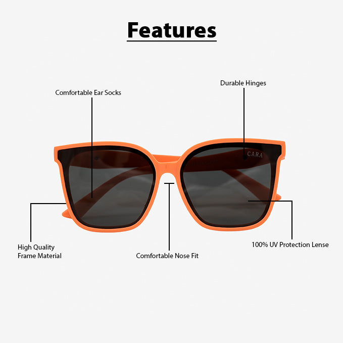 Bold Horizon Sunglass