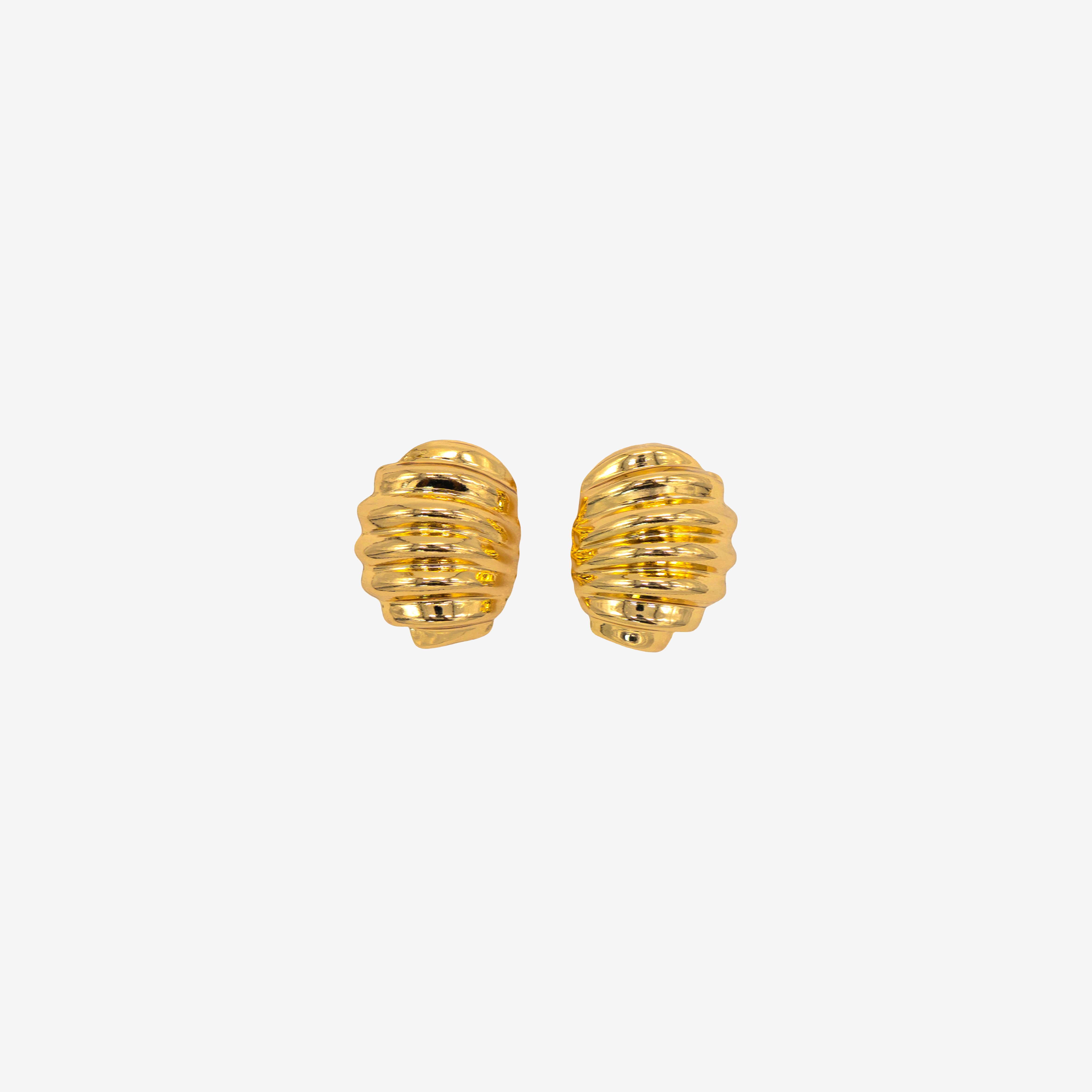 Quiet Shell Earrings