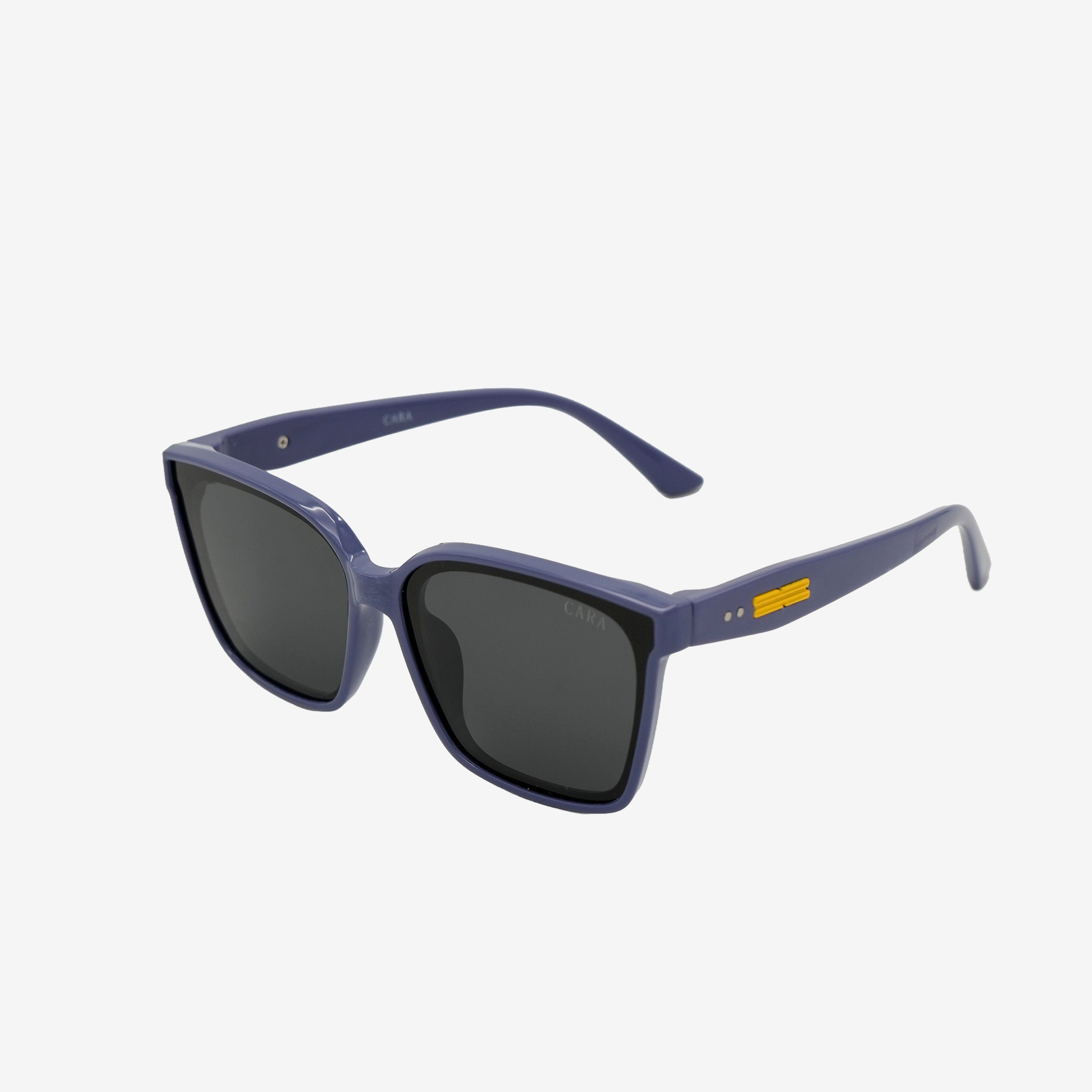 Bold Horizon Sunglass