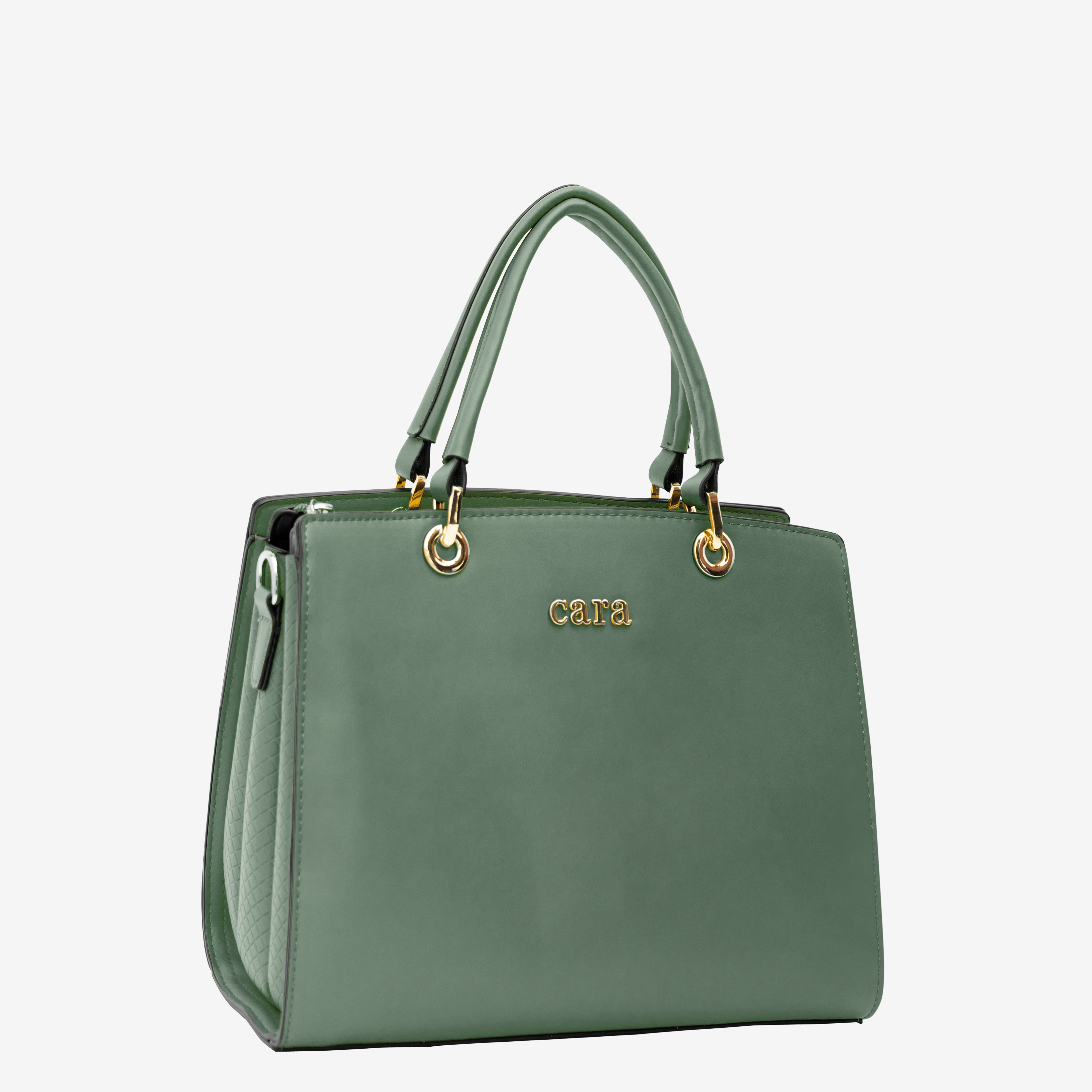 Carry handbag | cara