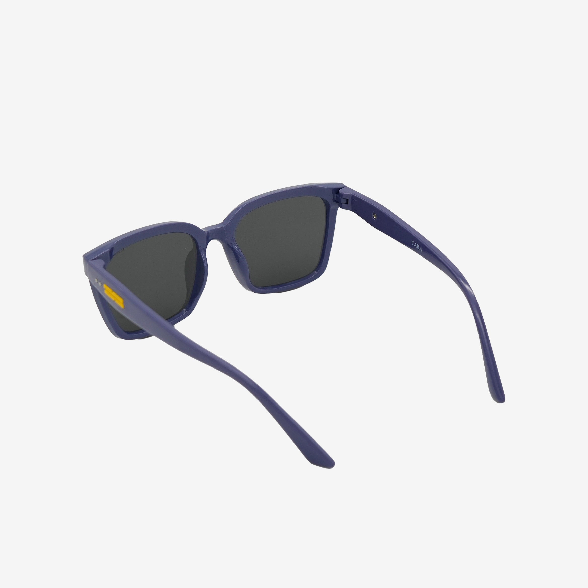 Bold Horizon Sunglass