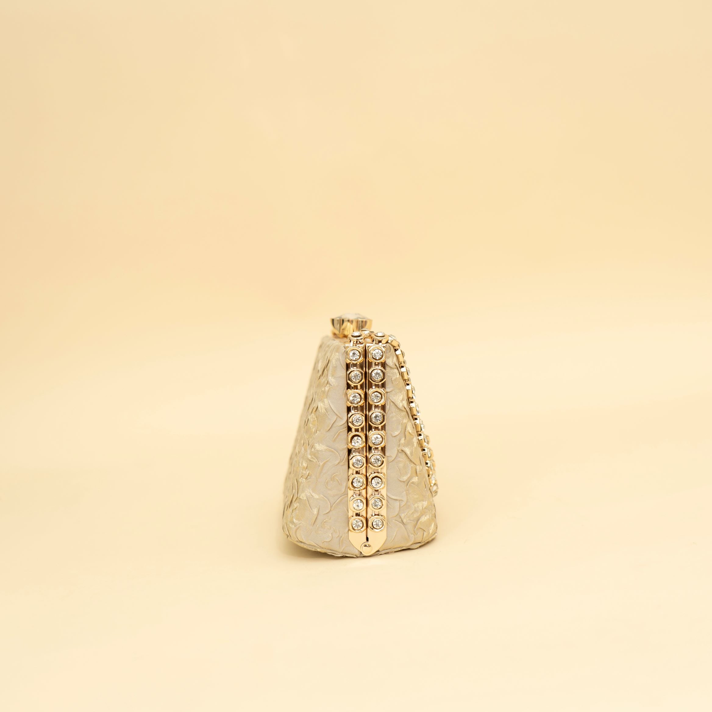 Cara's Beautiful Gold Clutch