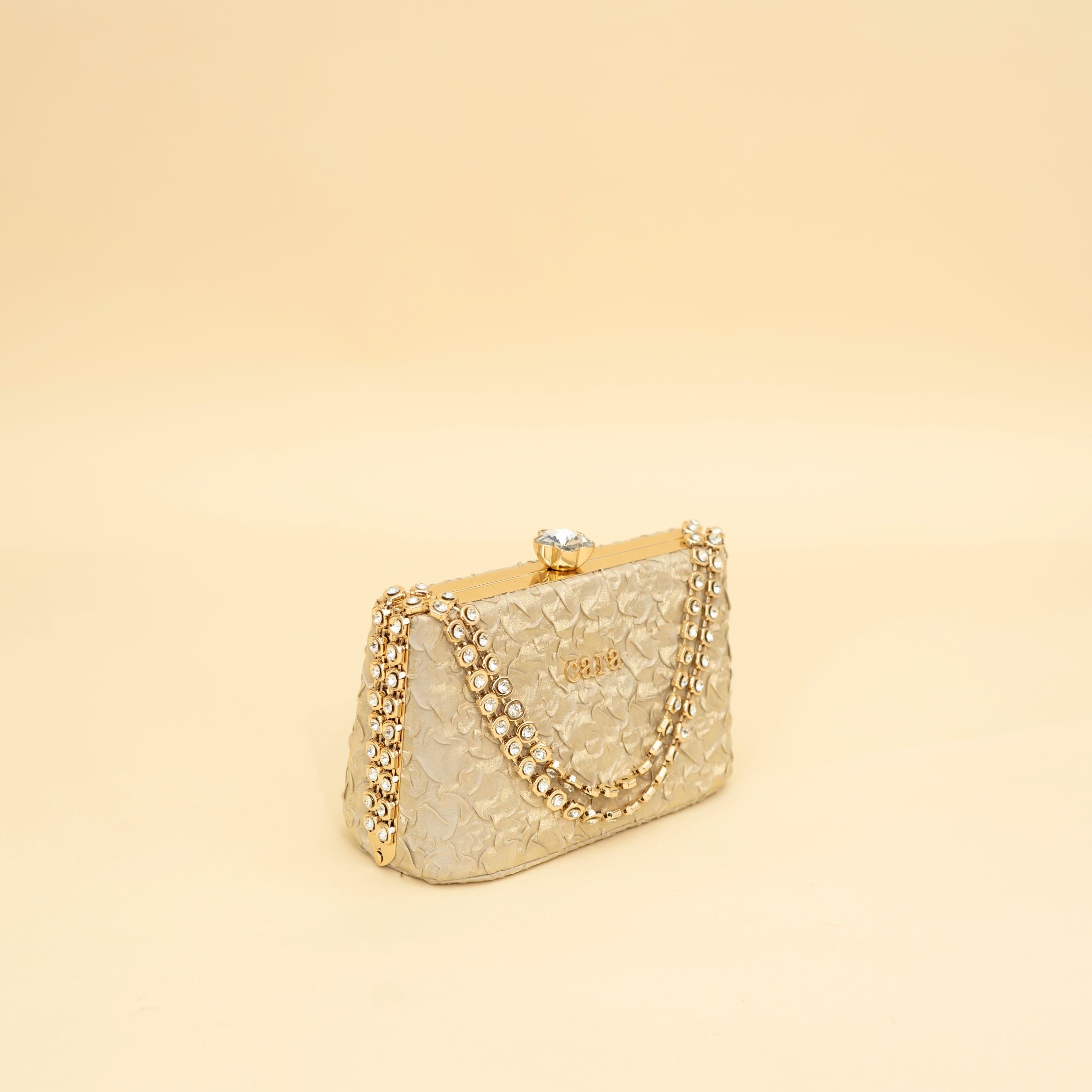 Cara's Beautiful Gold Clutch