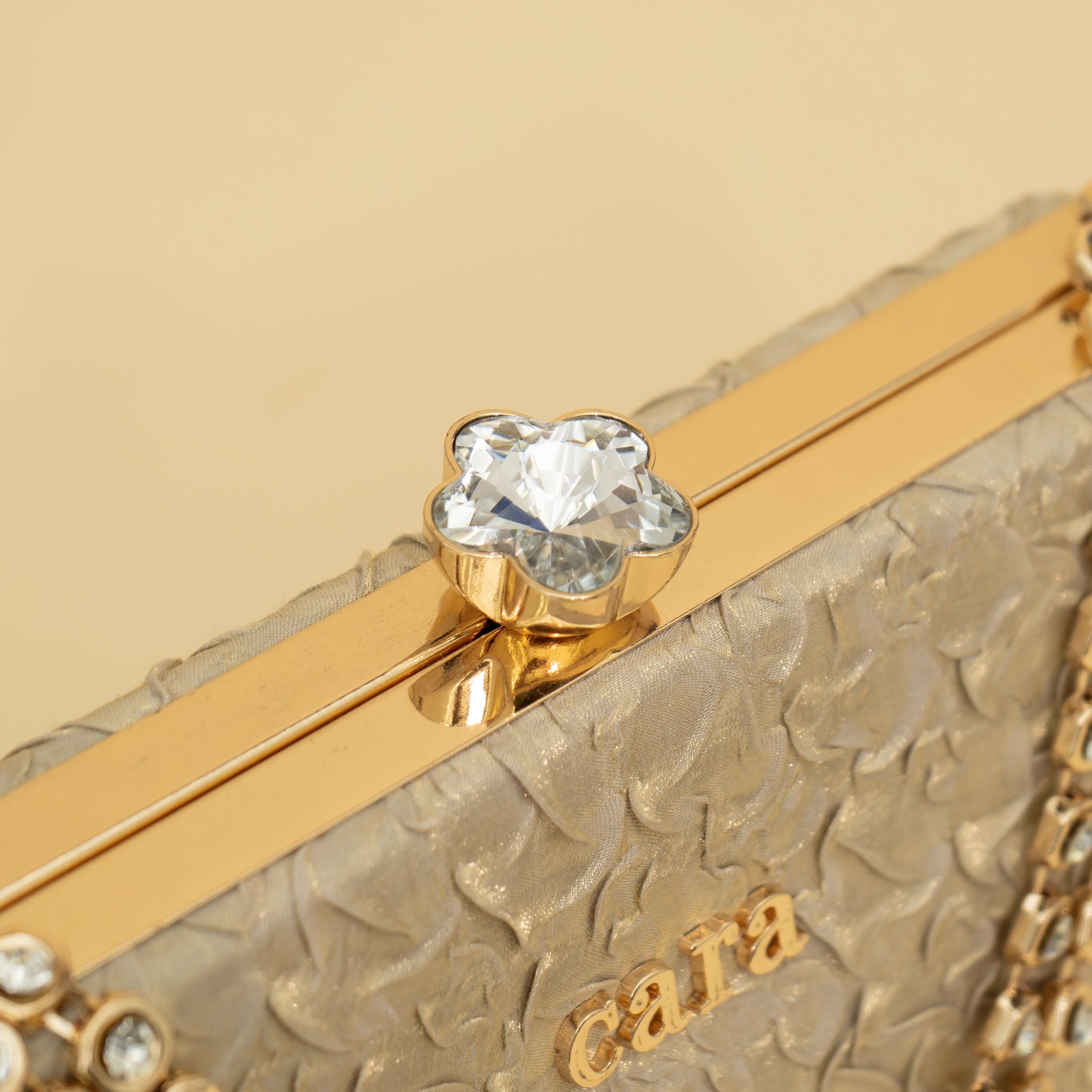 Cara's Beautiful Gold Clutch