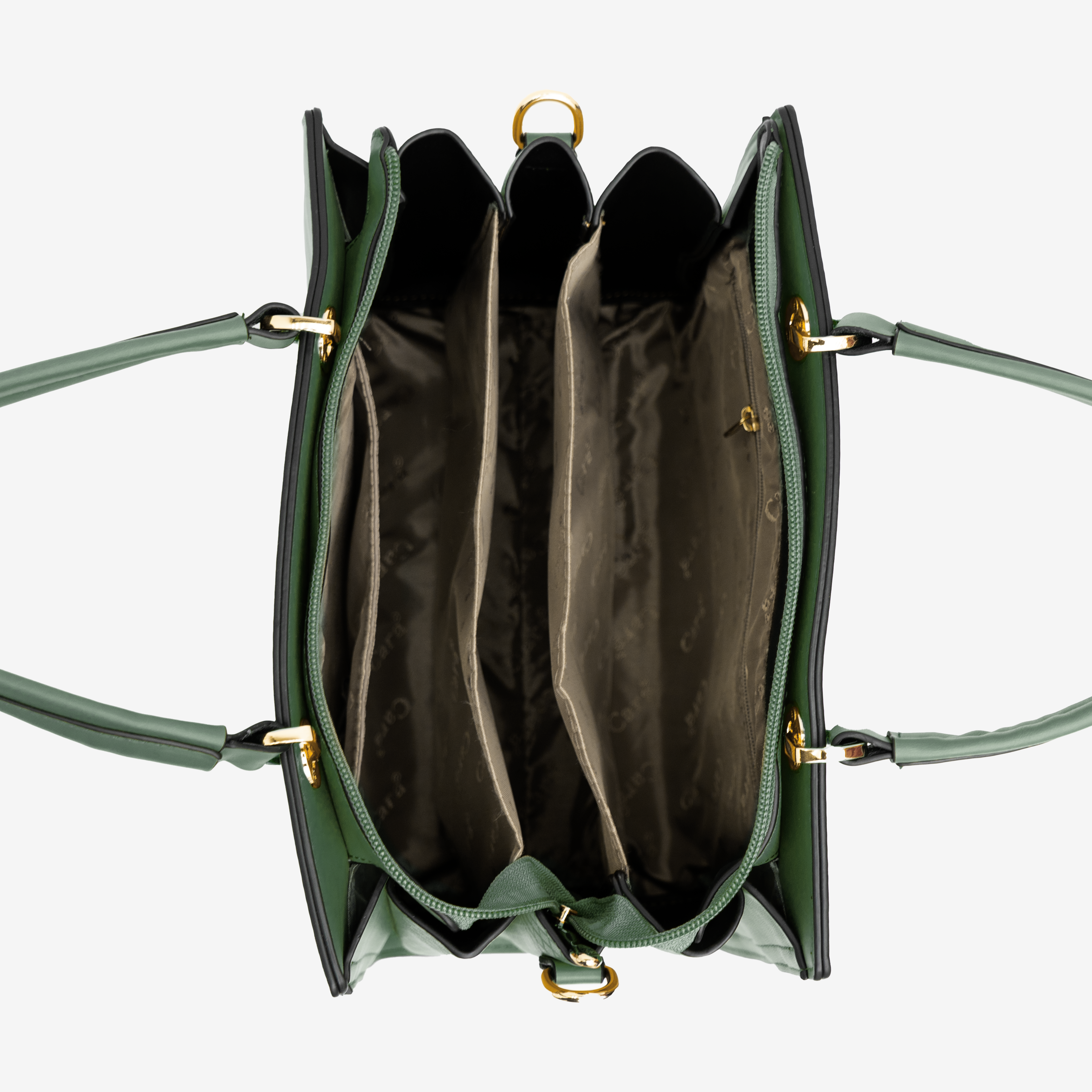 green Ambition Carry handbag | cara