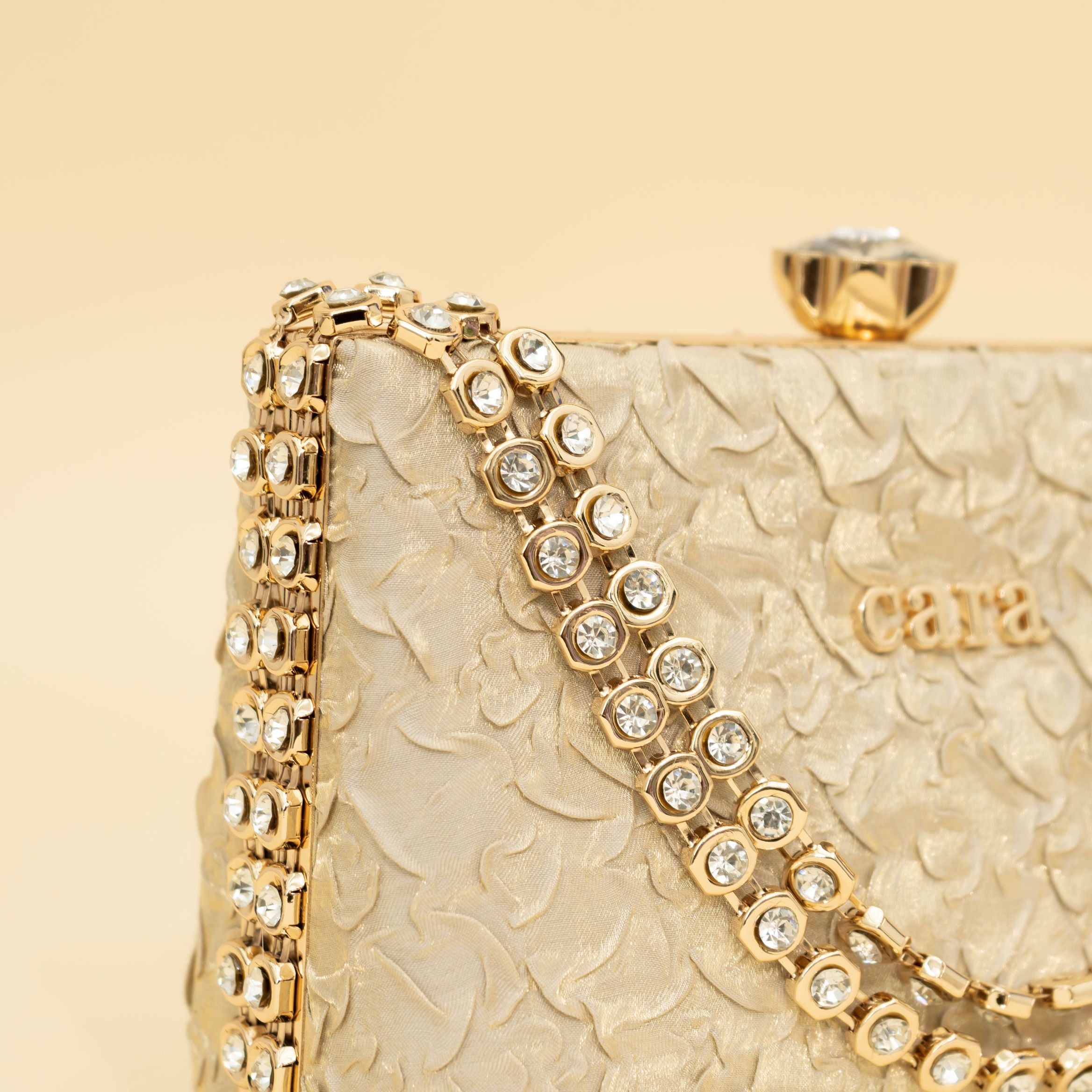 Cara's Beautiful Gold Clutch