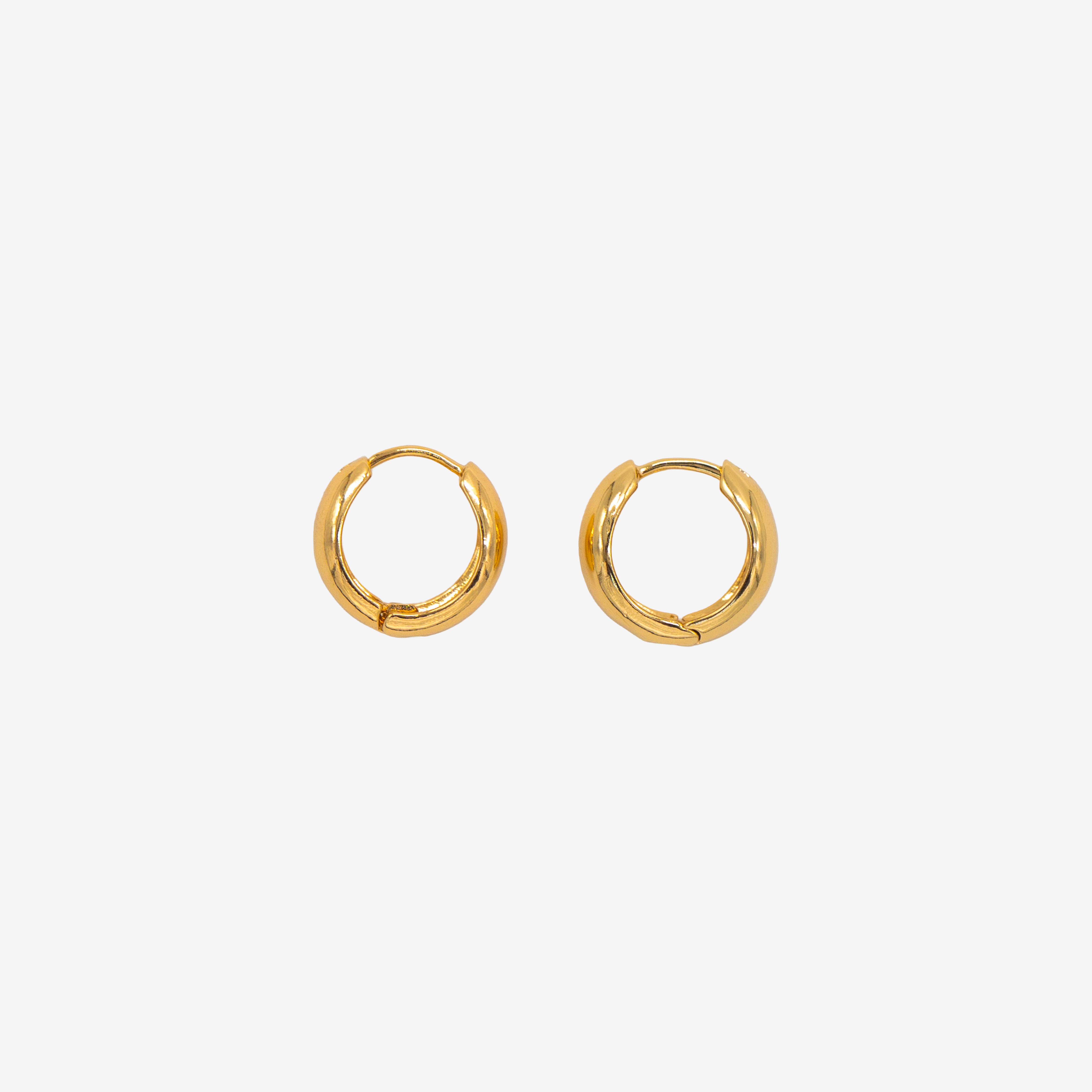 Fluid Circle Earrings