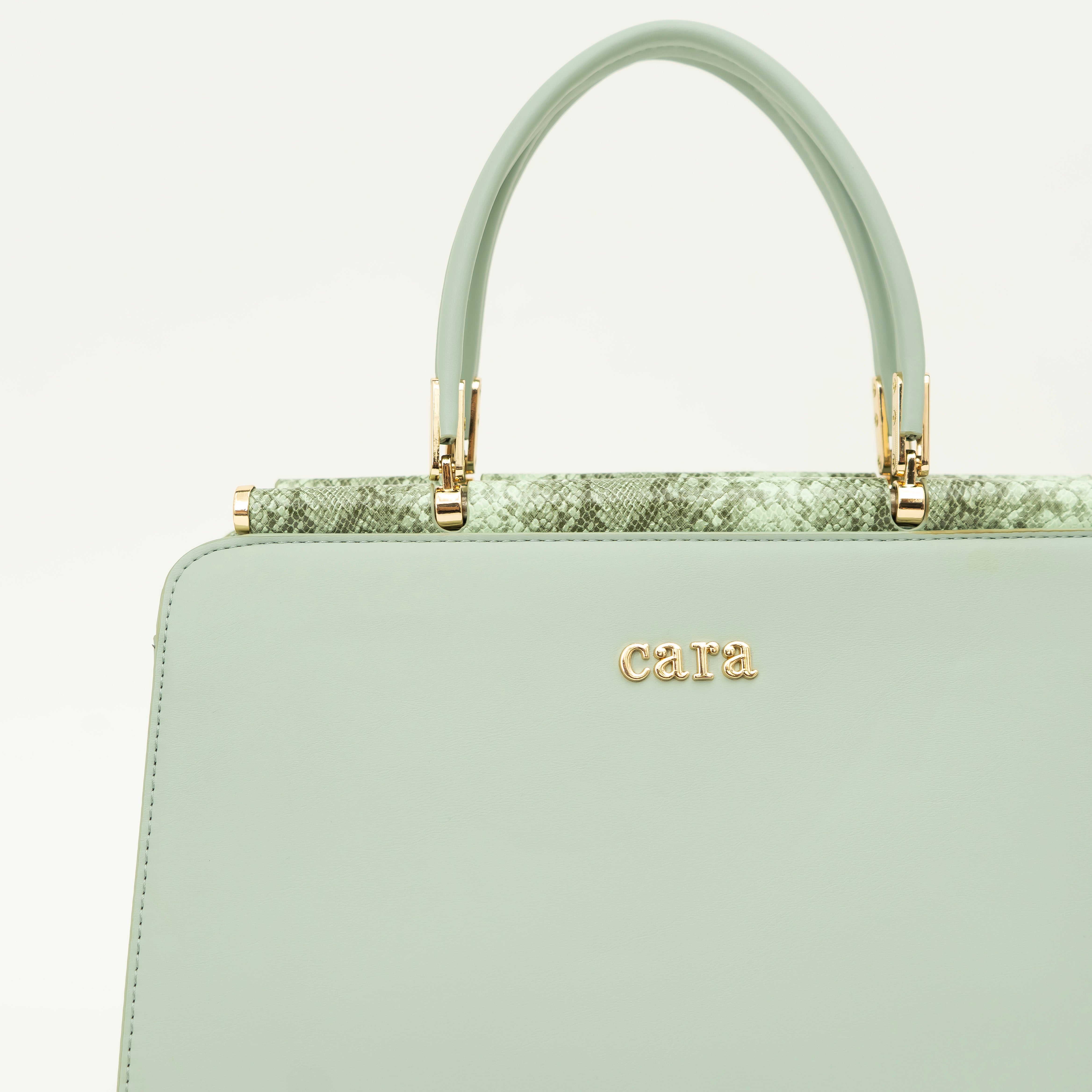 Impressive Green Handbag | cara