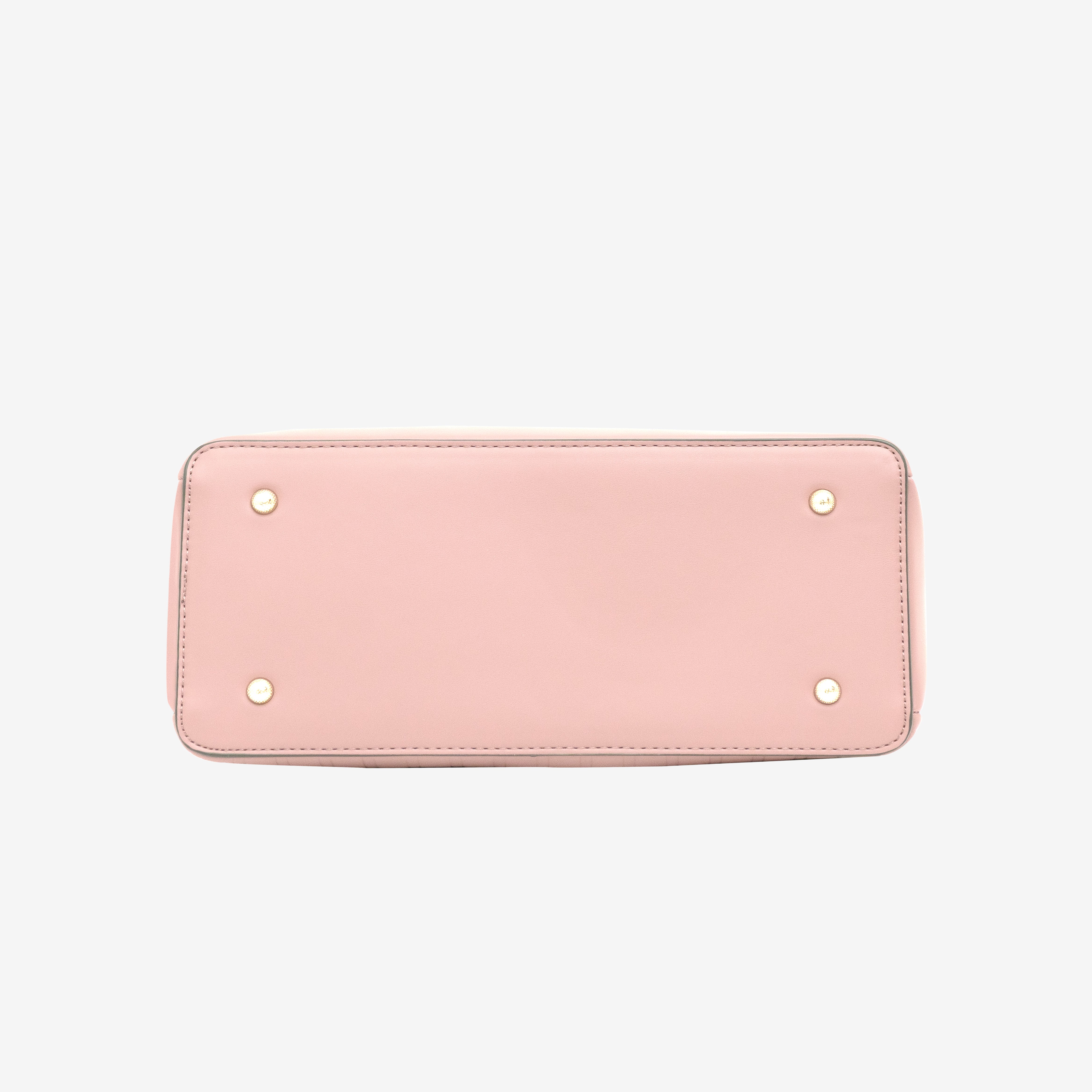 Pink Luxe Companion Handbag | Cara