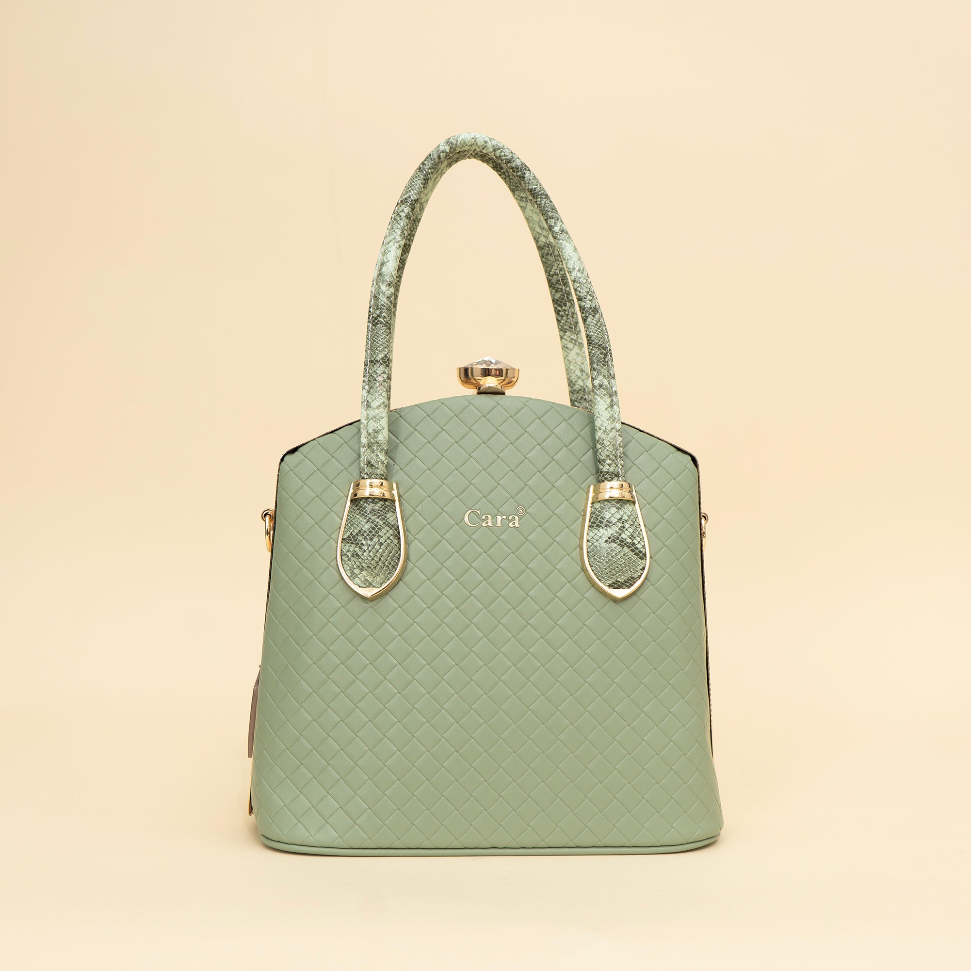 Cara's Flair Twist satchel bag