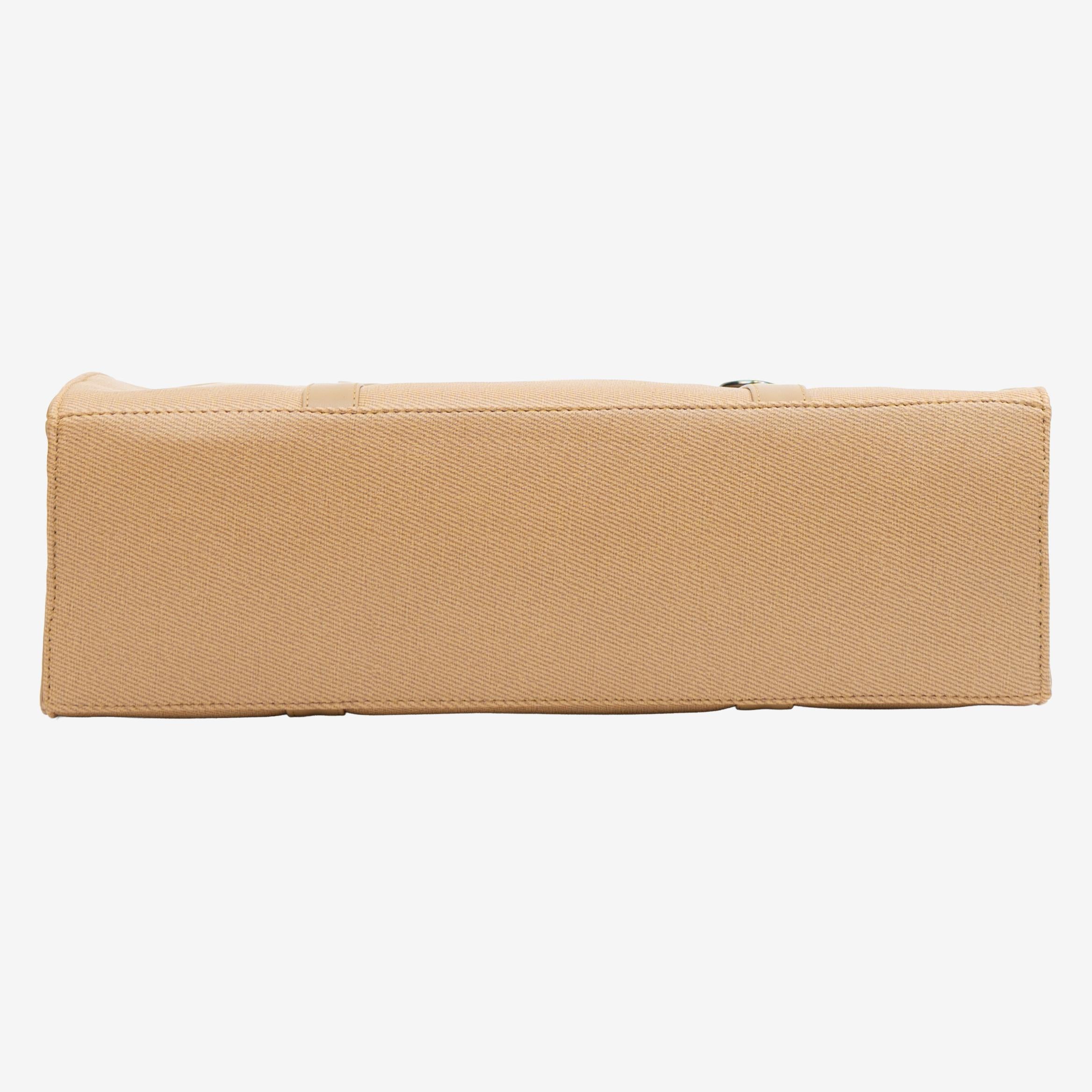 The Linear Satchel