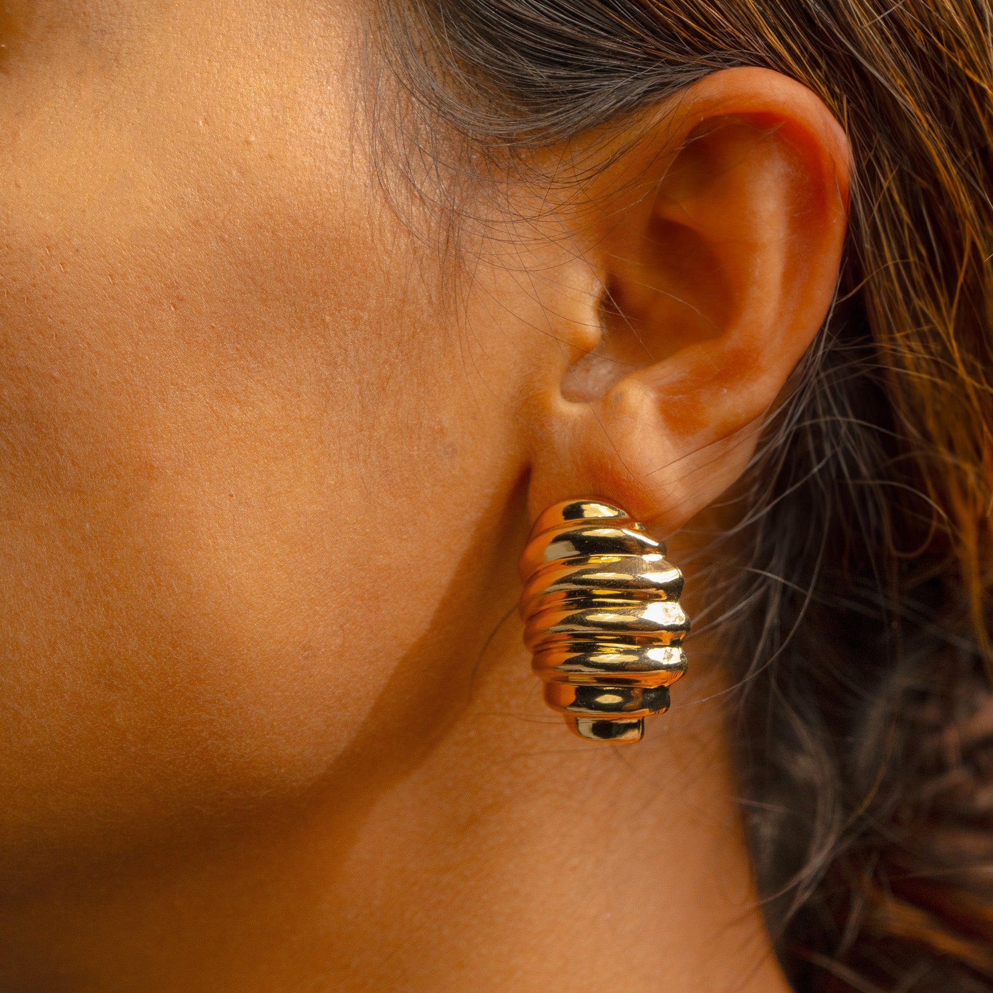 Quiet Shell Earrings