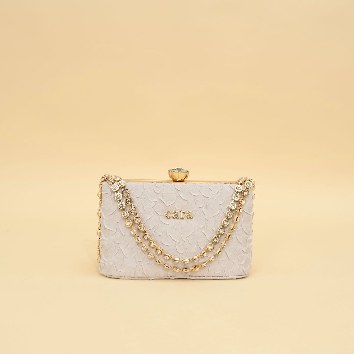 Cara's Beautiful Silver Clutch