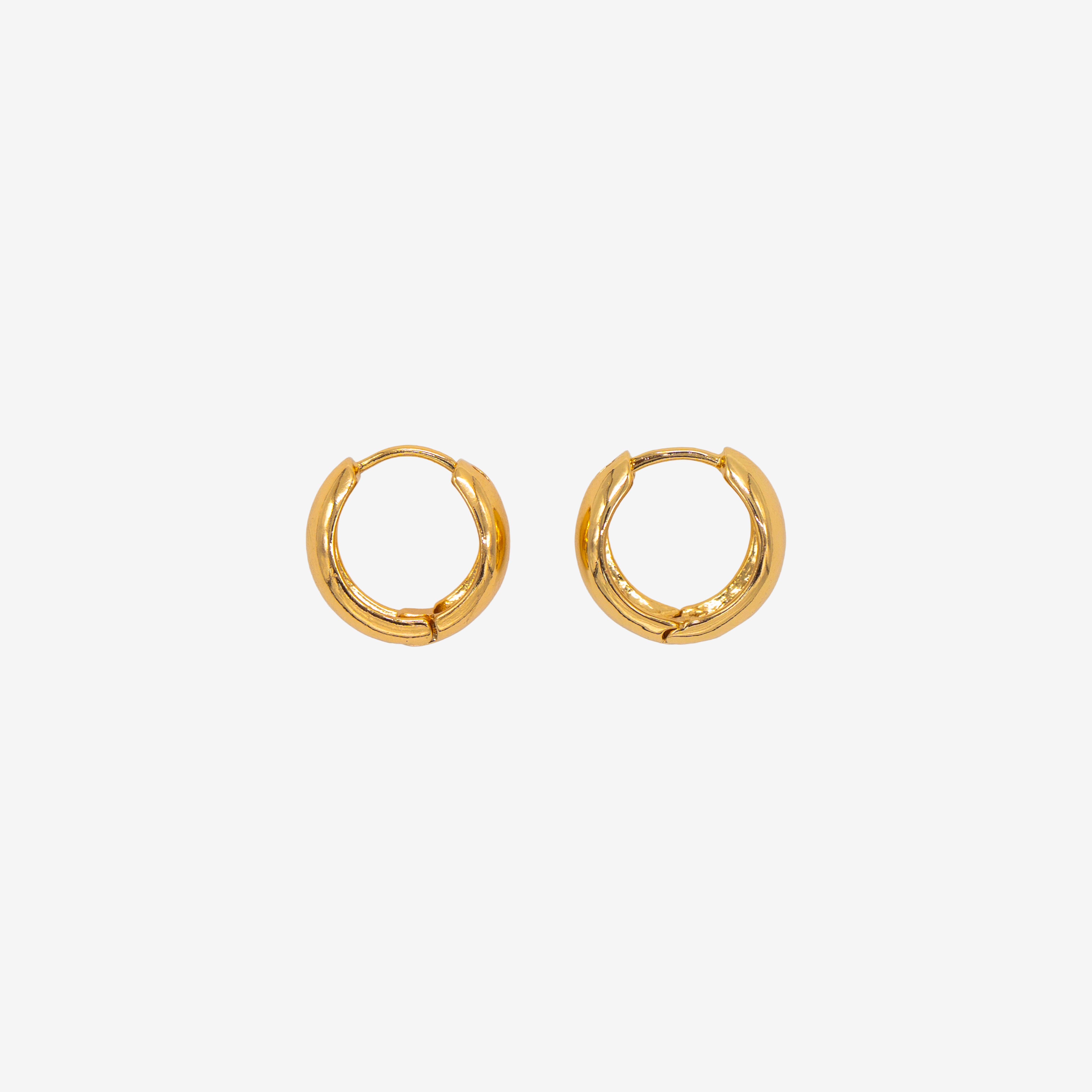 Fluid Circle Earrings