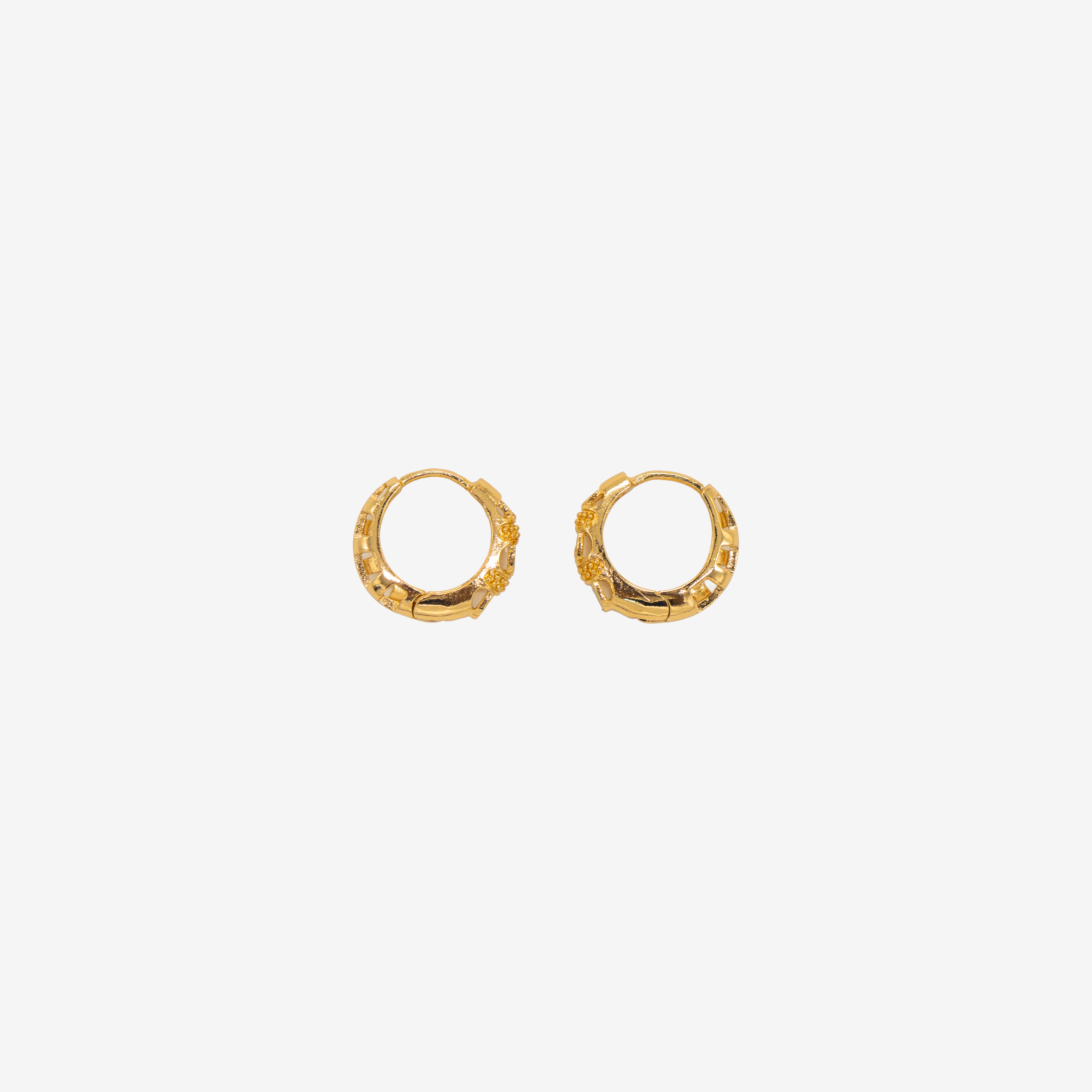 Golden Loop Earrings