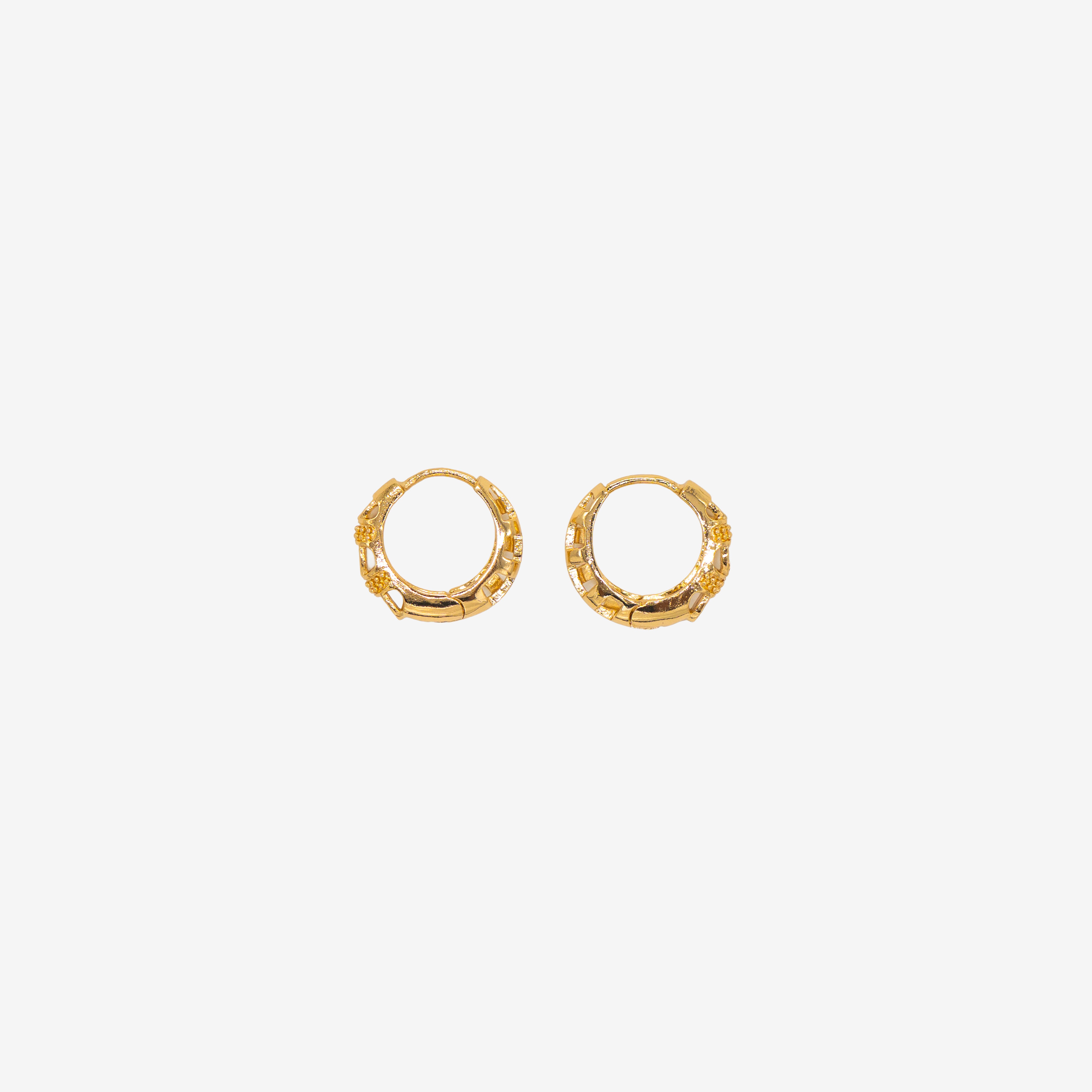 Golden Loop Earrings