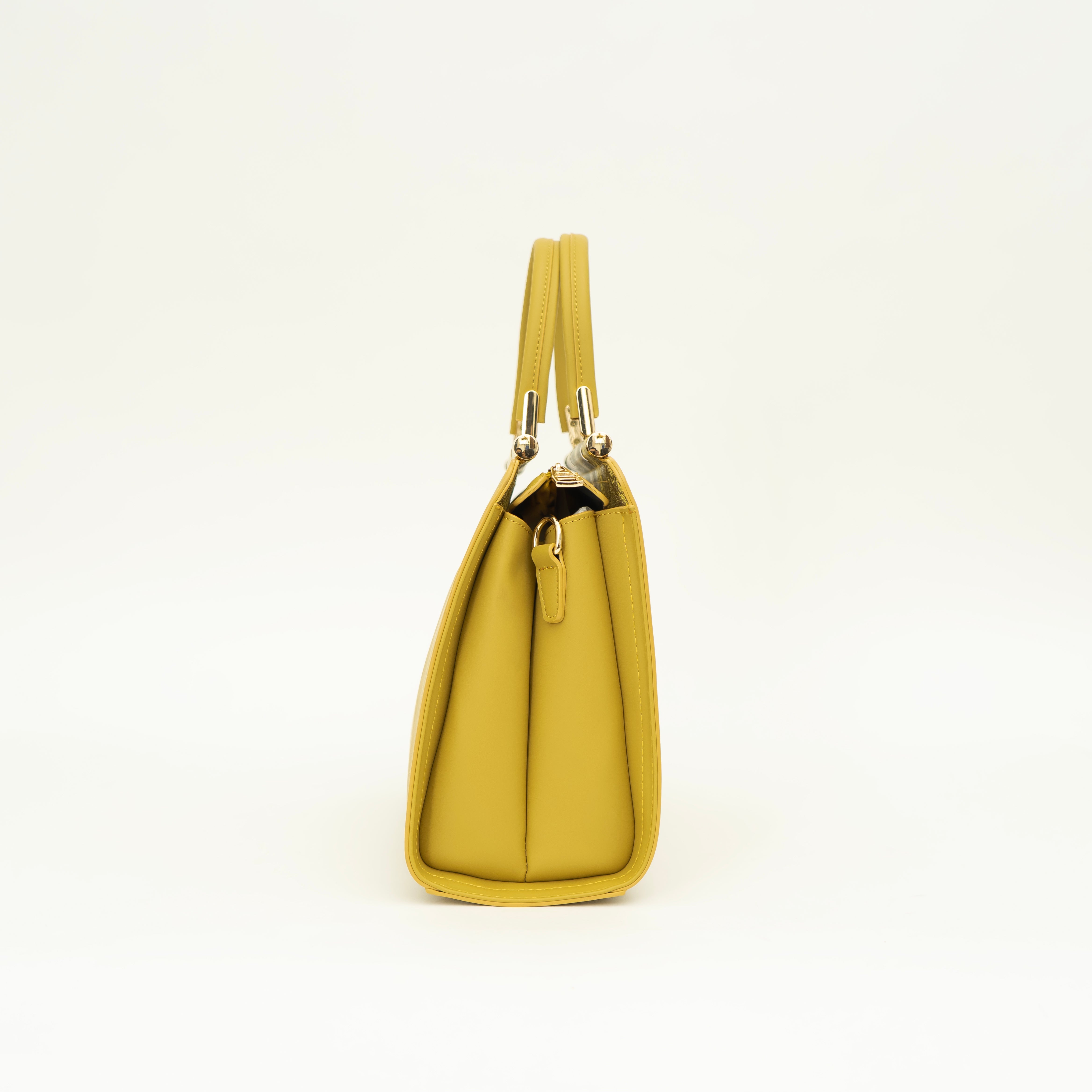 Impressive Handbag | cara