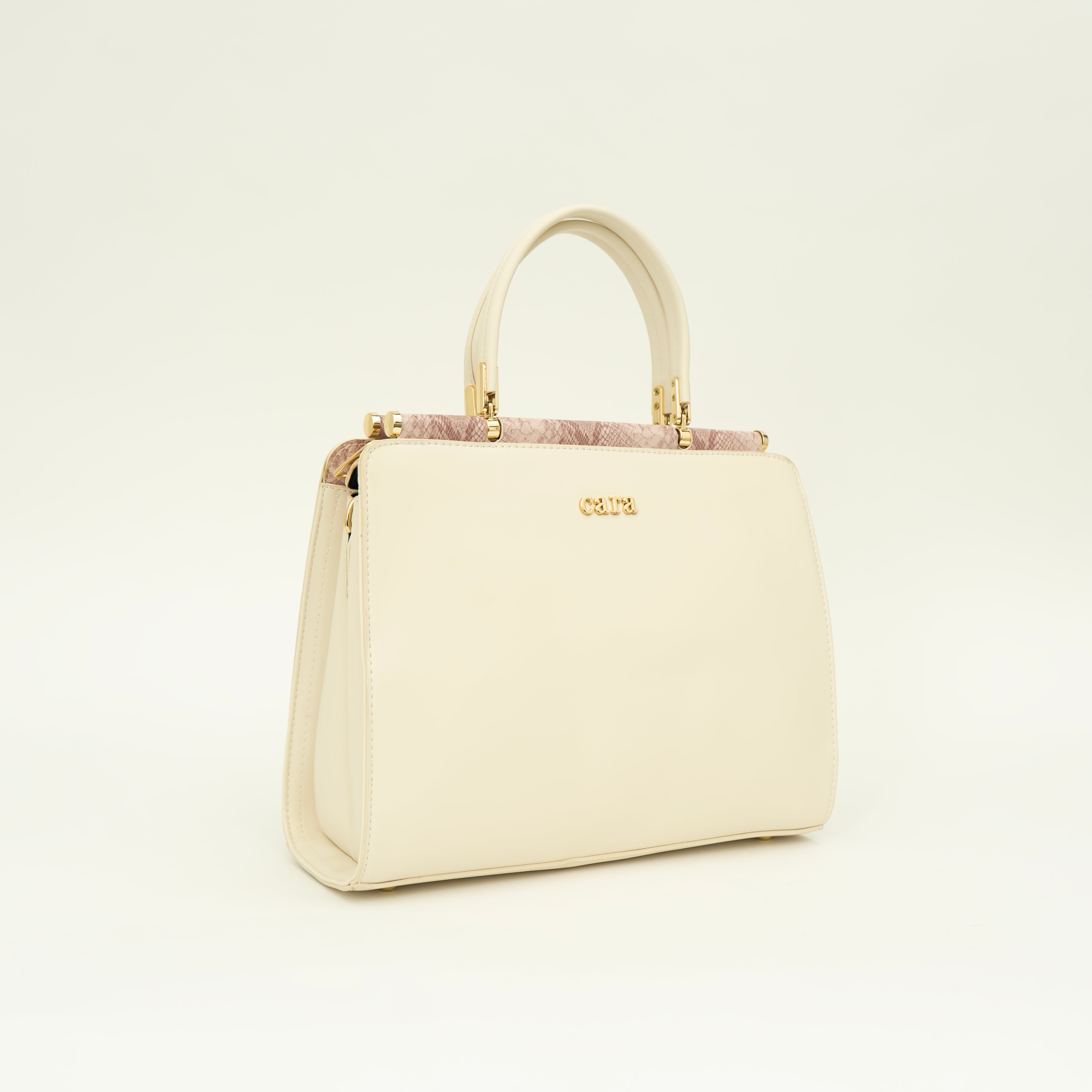 Impressive Handbag | cara