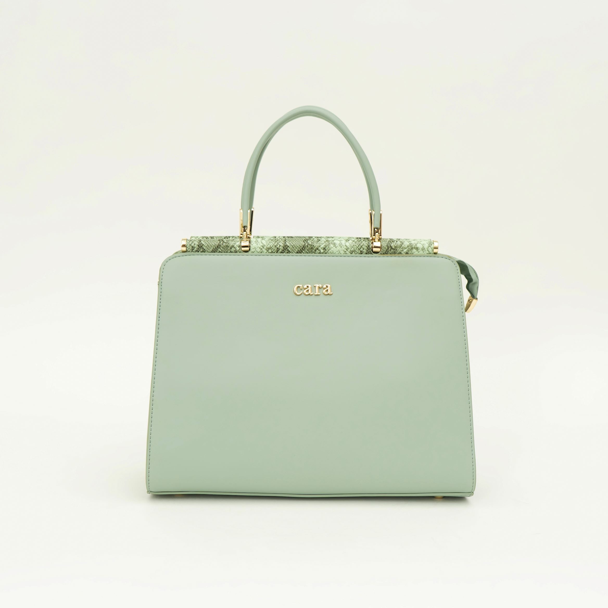 Impressive Green Handbag i cara