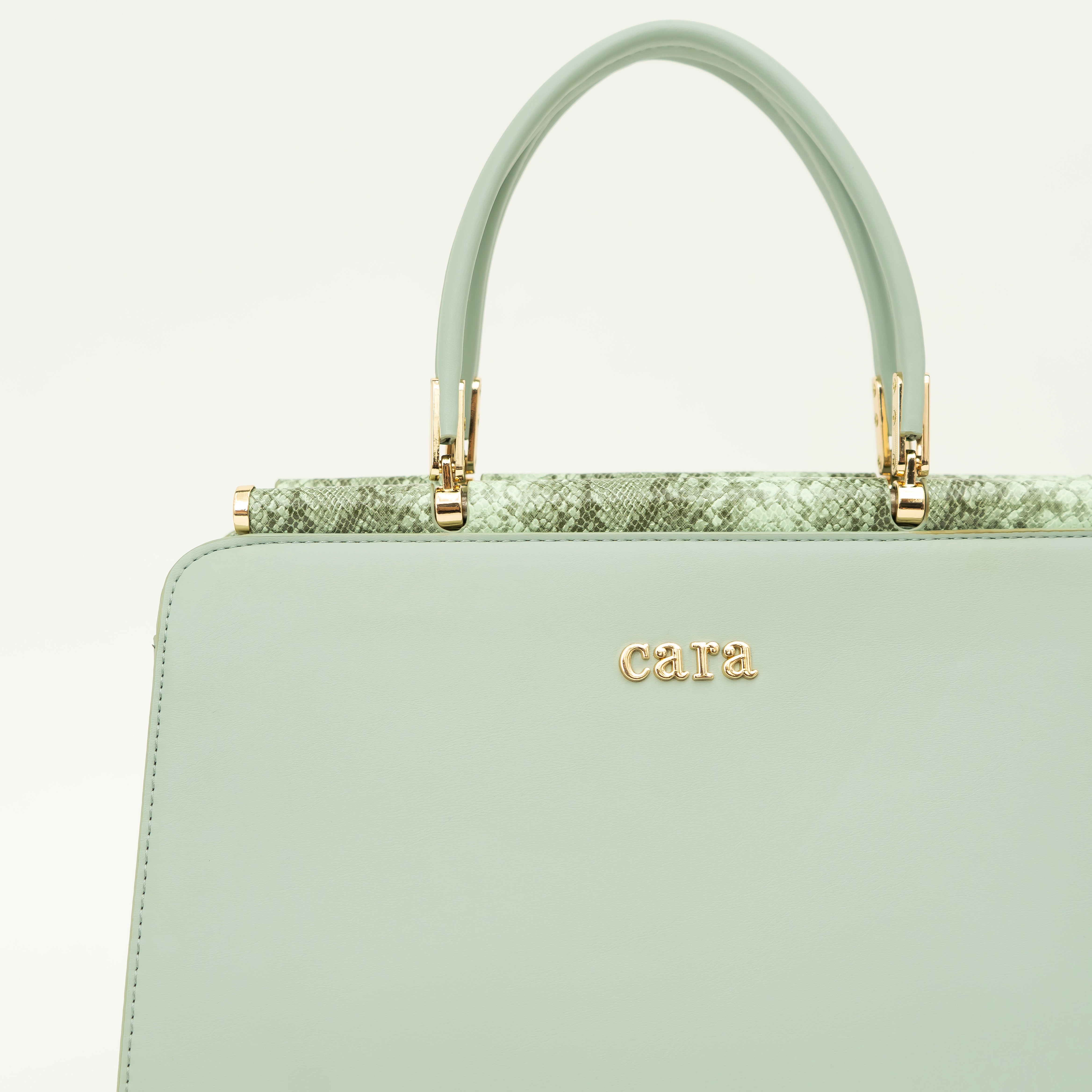 Impressive Green Handbag i cara