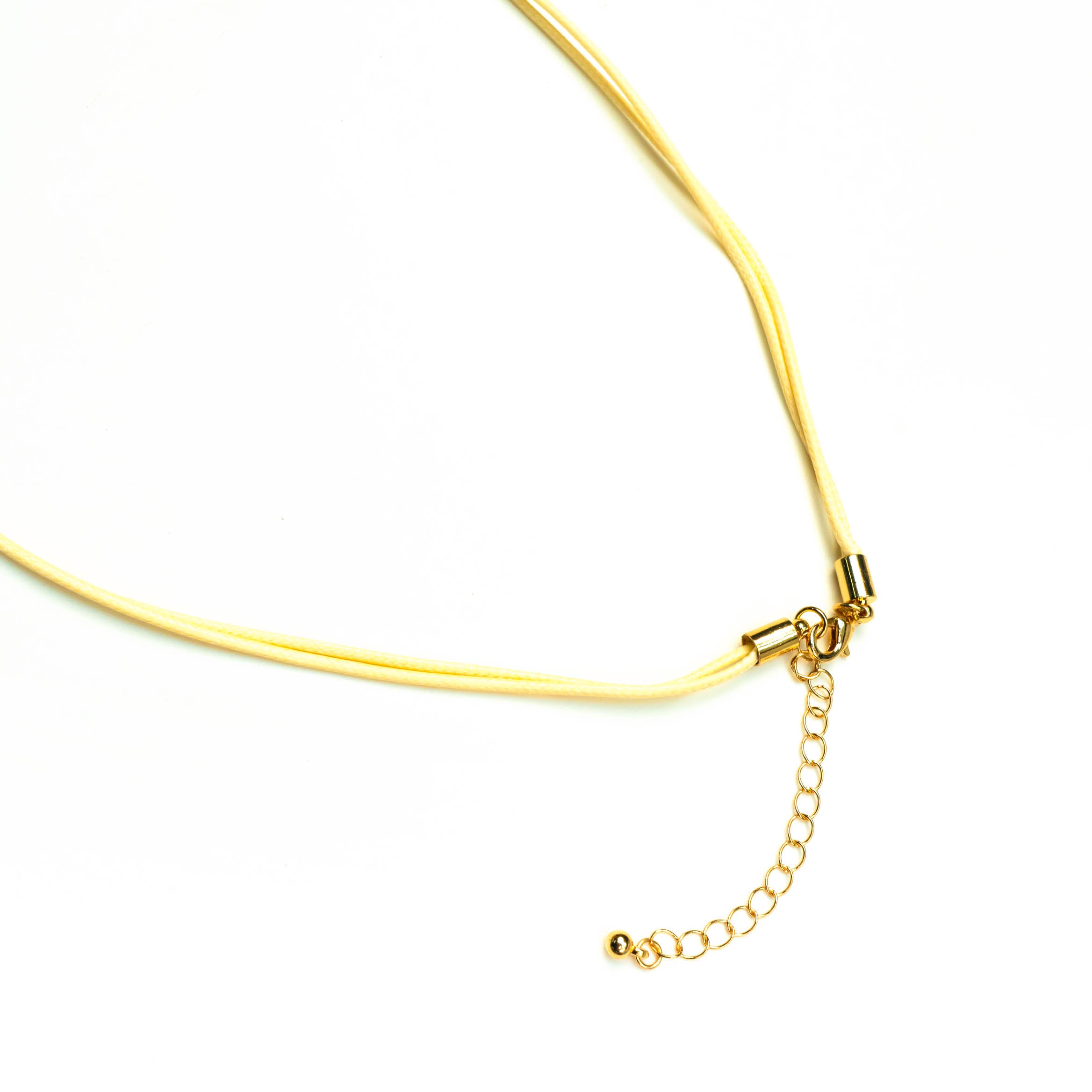 Saltline Shell Necklace