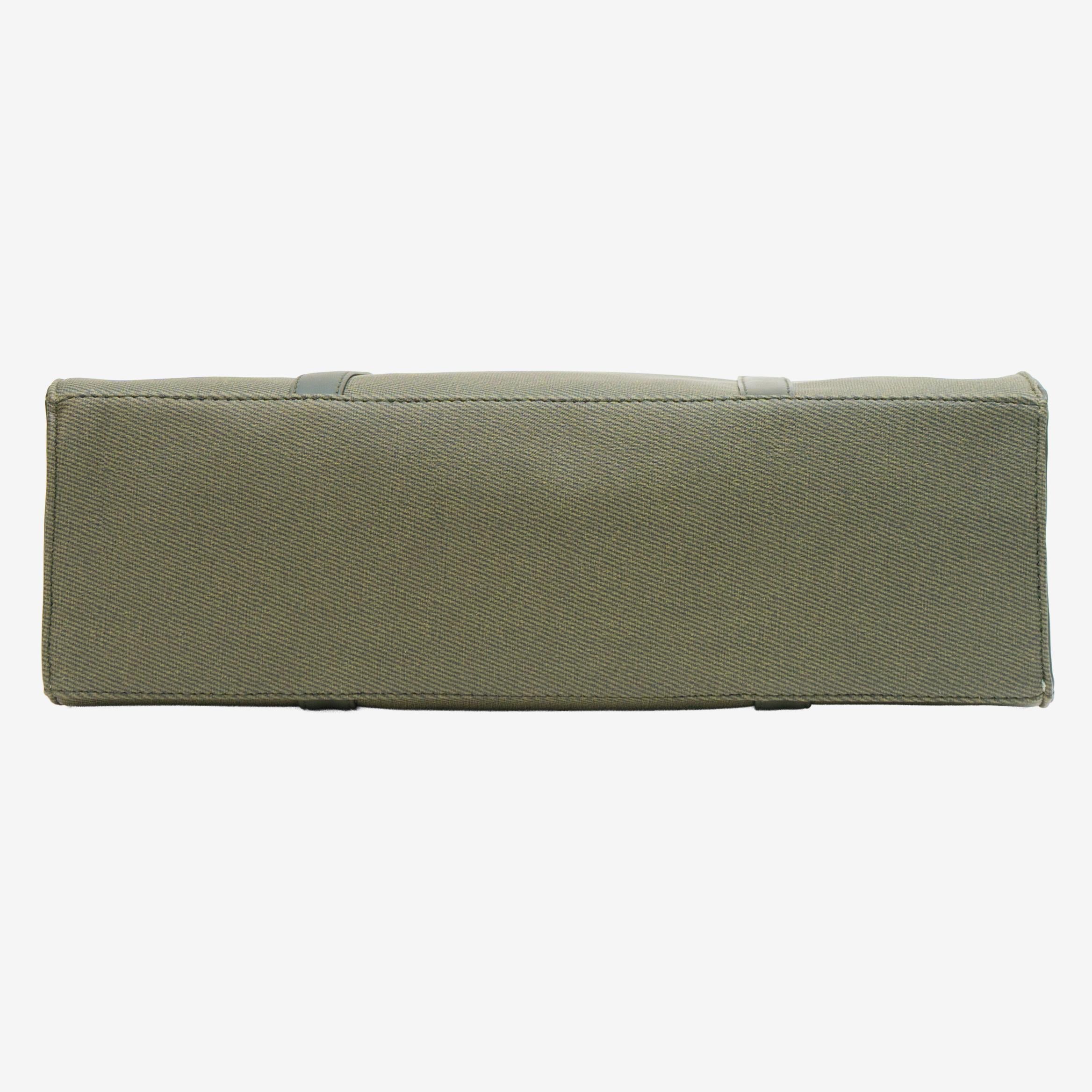 The Linear Satchel