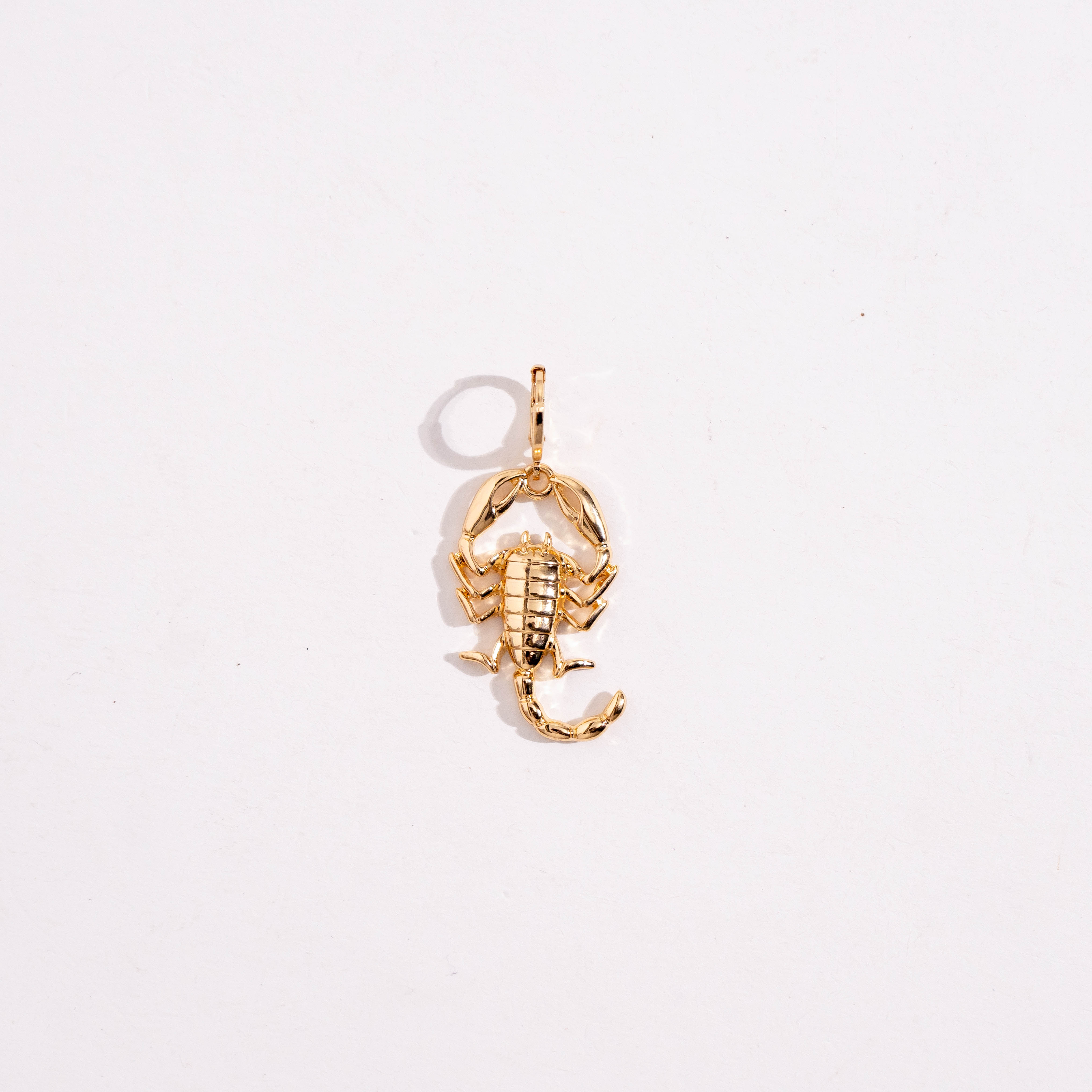 Mystic Scorpio Earrings