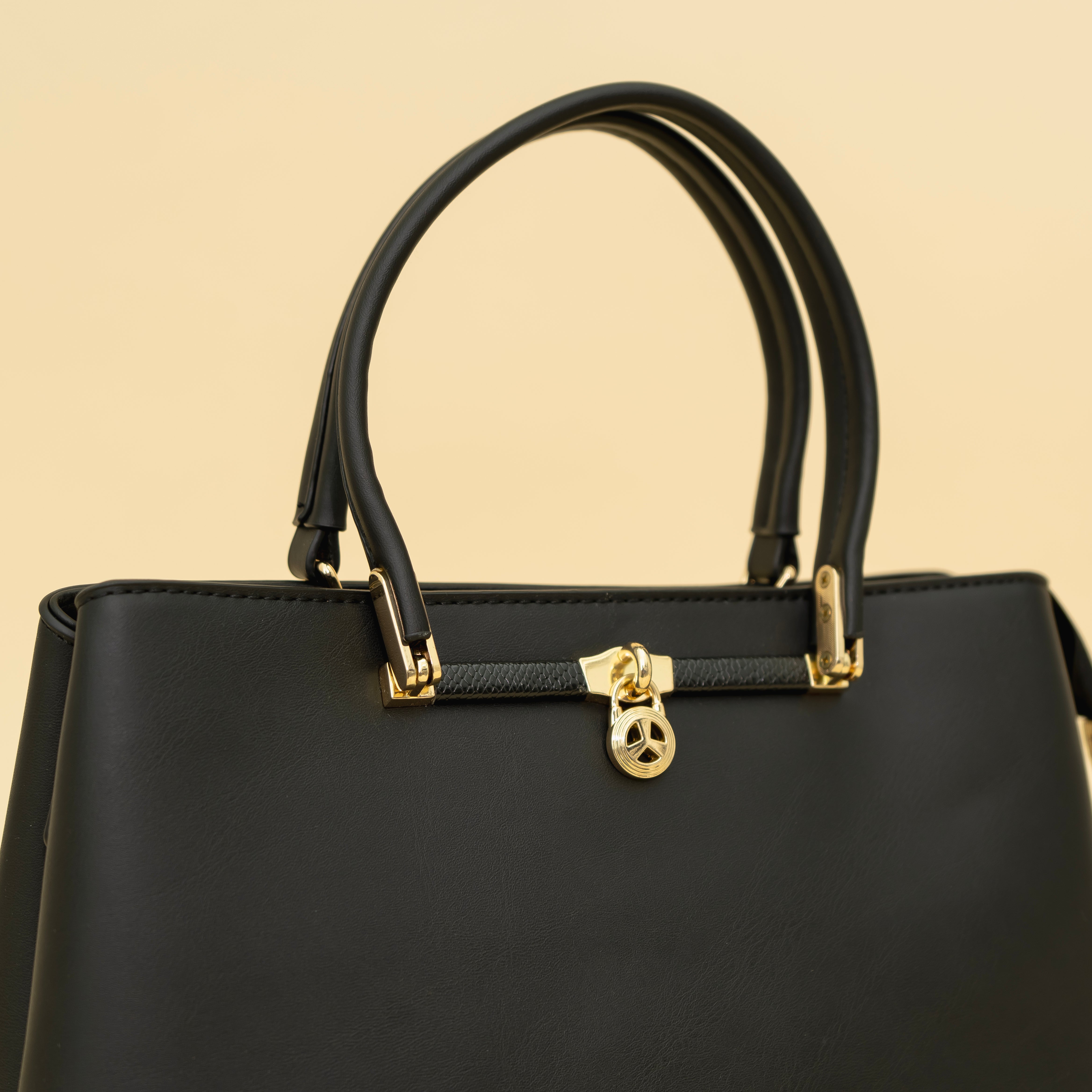 Haute Black Handbag I CARA