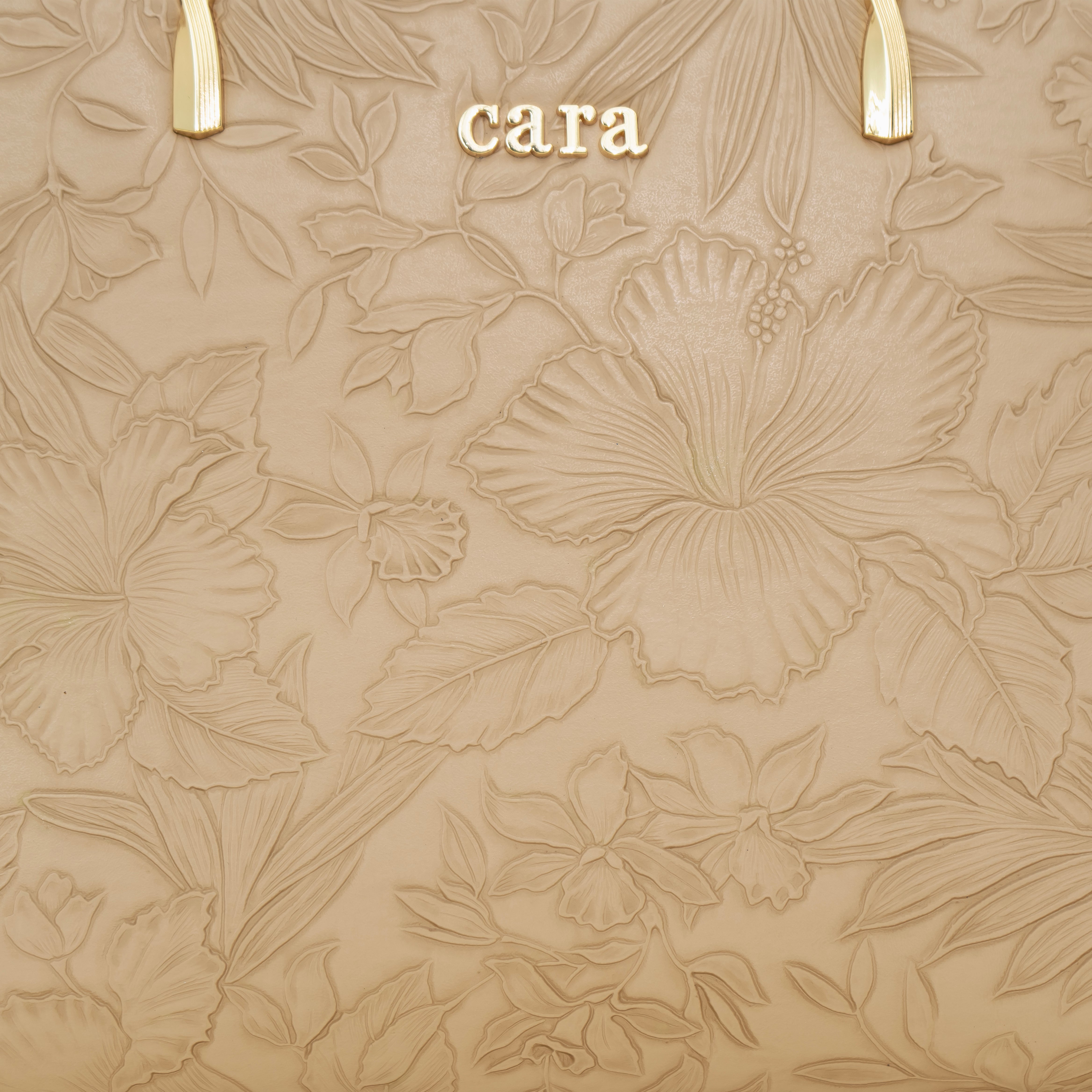 Glamorous Tan Brown Handbag  I CARA