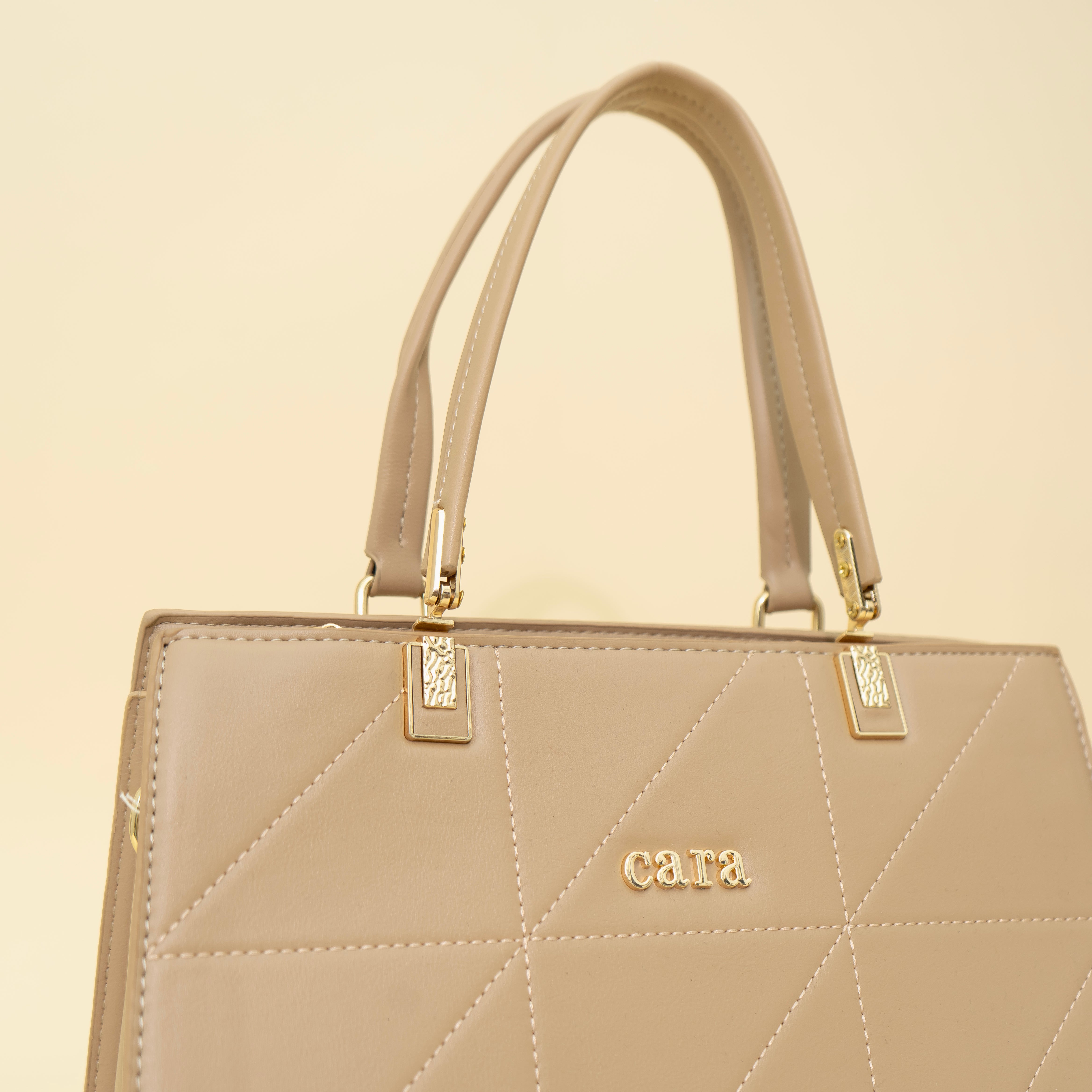 Cara's Tan Brown Bliss  HANDBAG