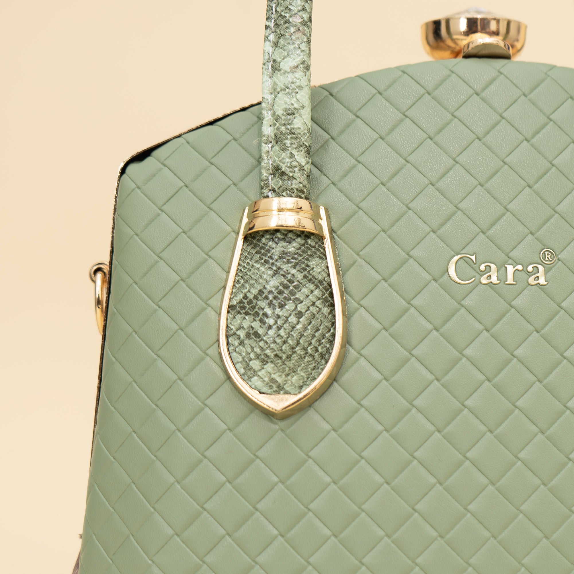 Cara's Flair Twist satchel bag