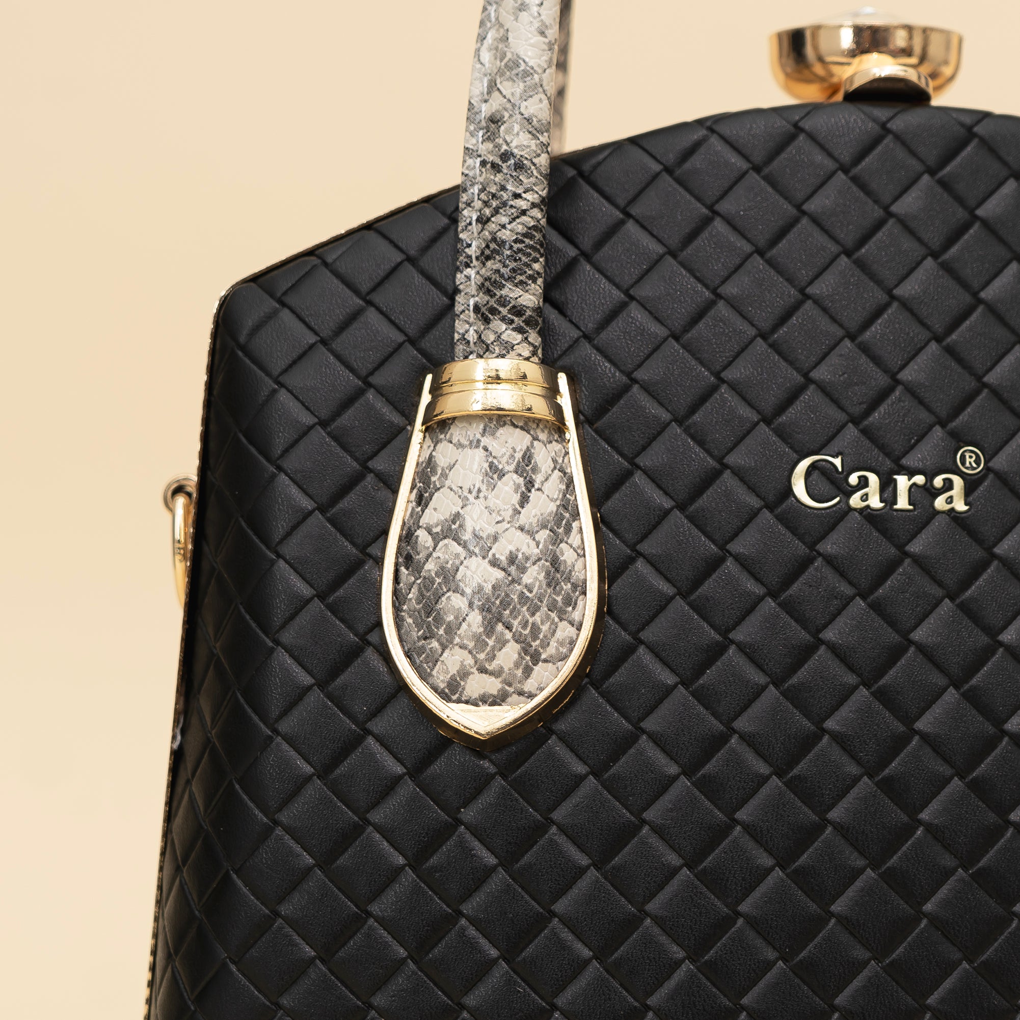 Cara's Flair Twist satchel bag