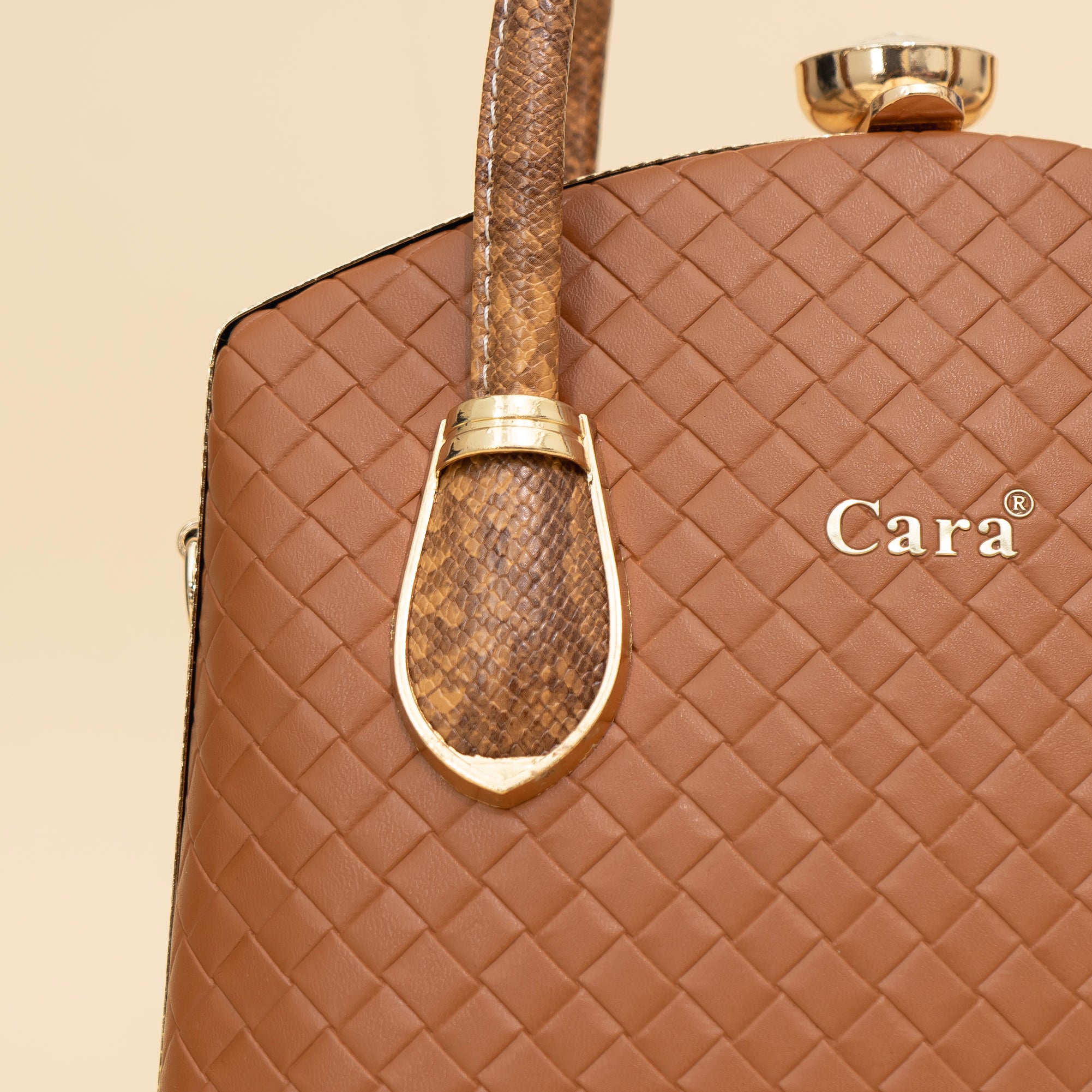 Cara's Flair Twist satchel bag