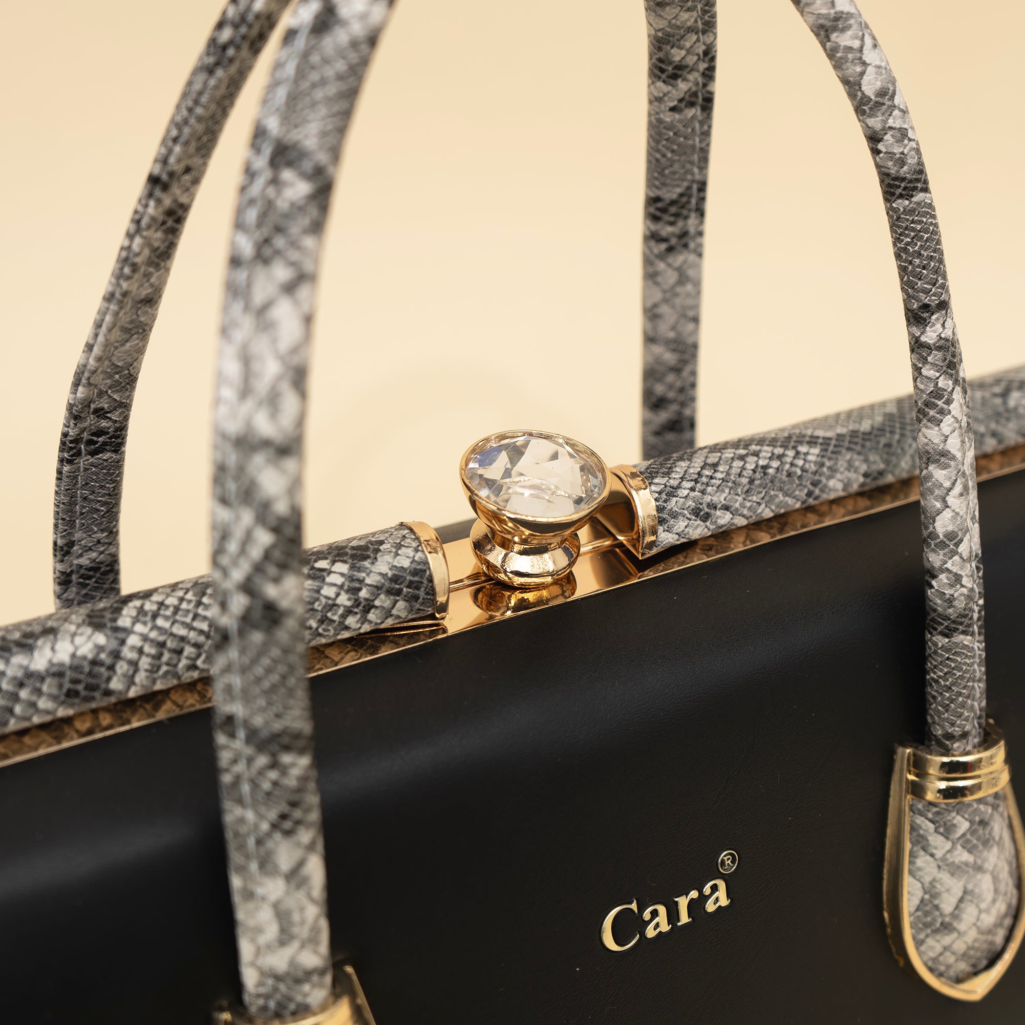 Cara's Classy Galaxy satchel bag