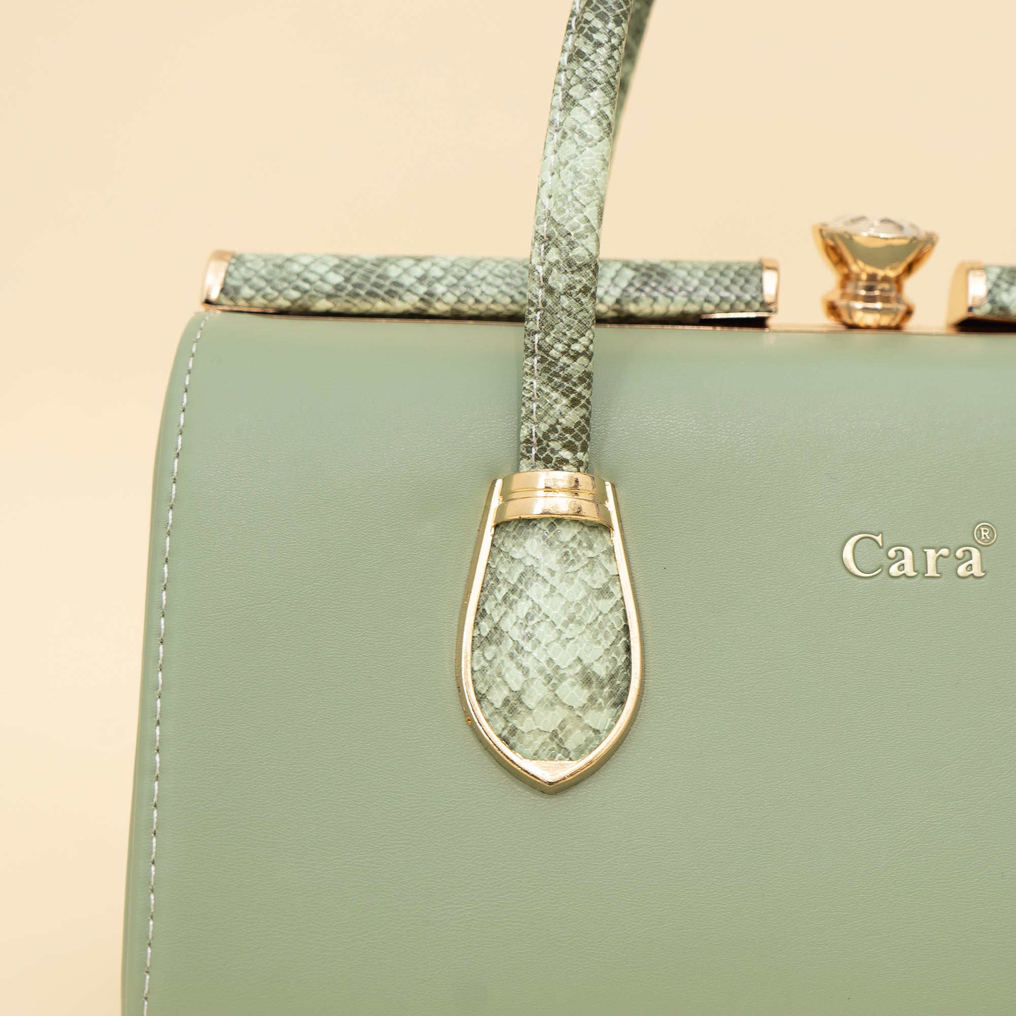 Cara's Classy Galaxy satchel bag