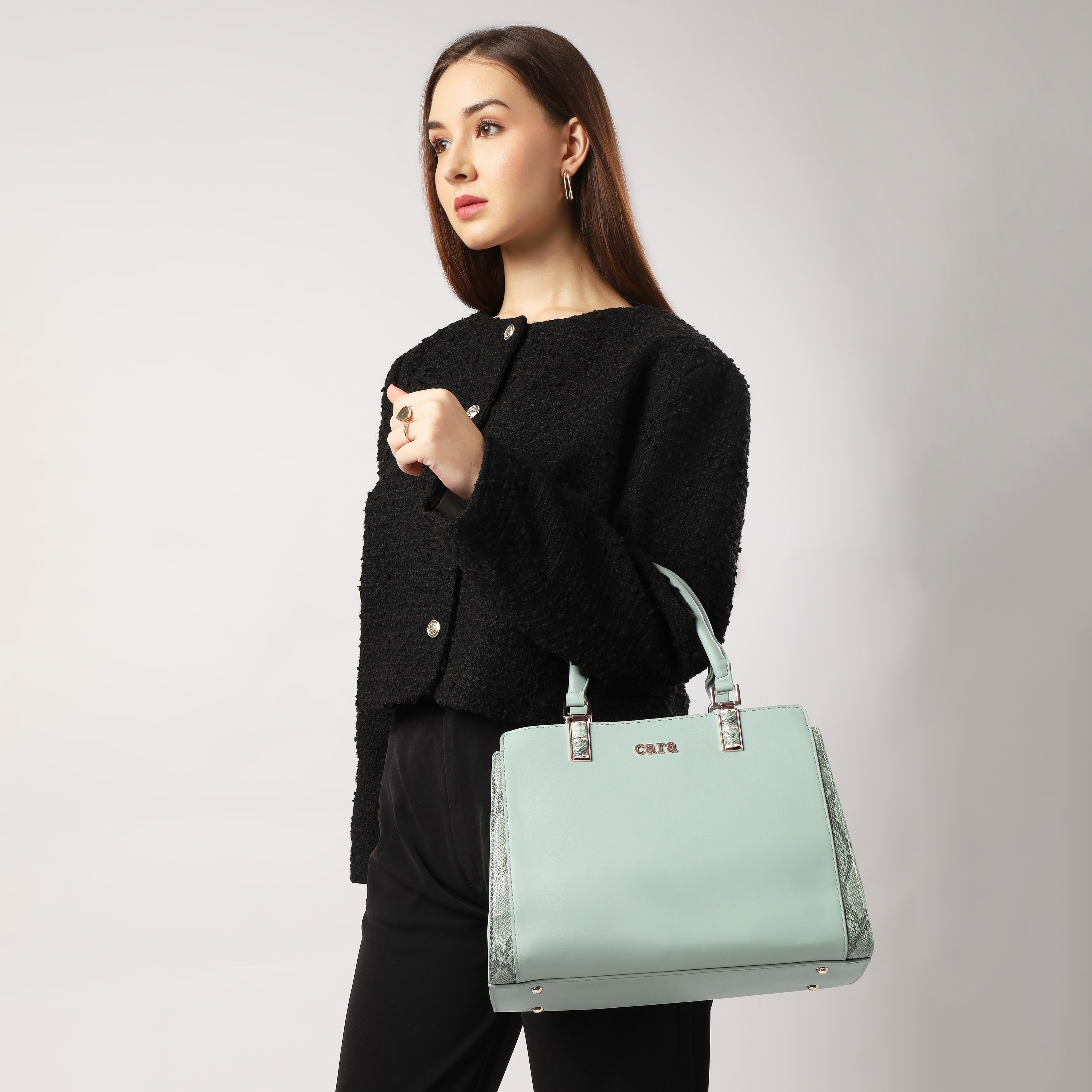 Dazzling Handbag | CARA